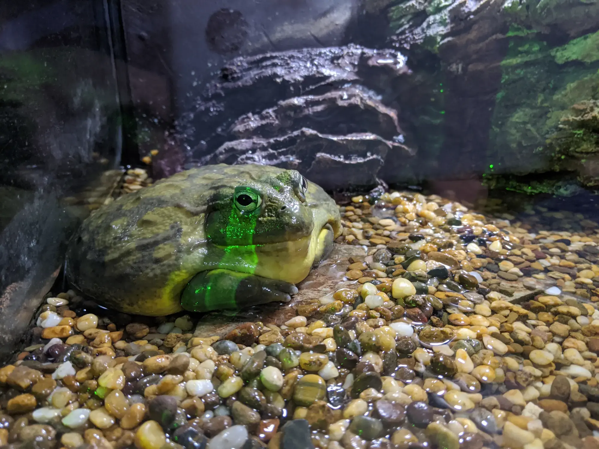 Sea Life Bangkok Ocean World