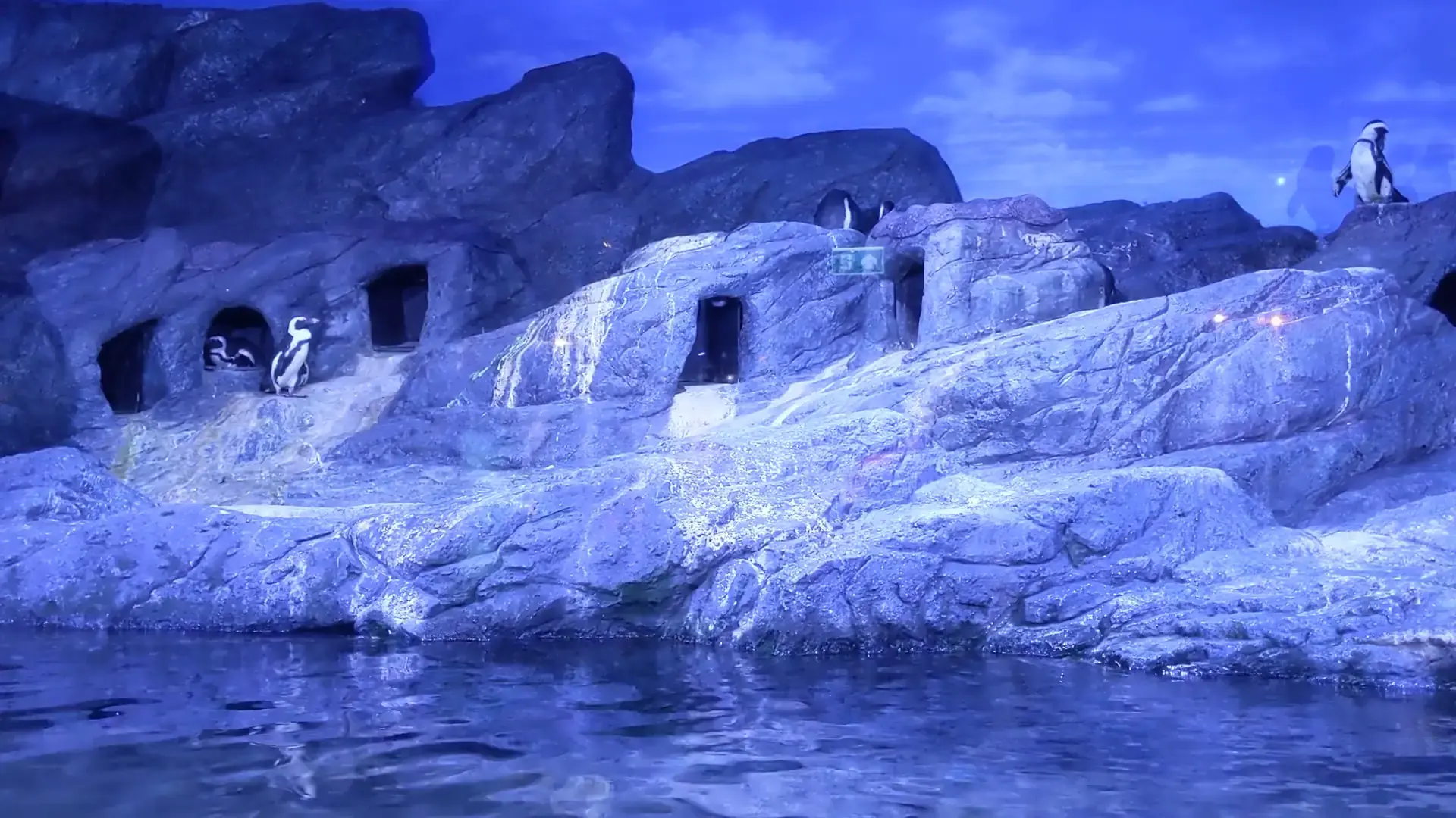 Sea Life Bangkok Ocean World