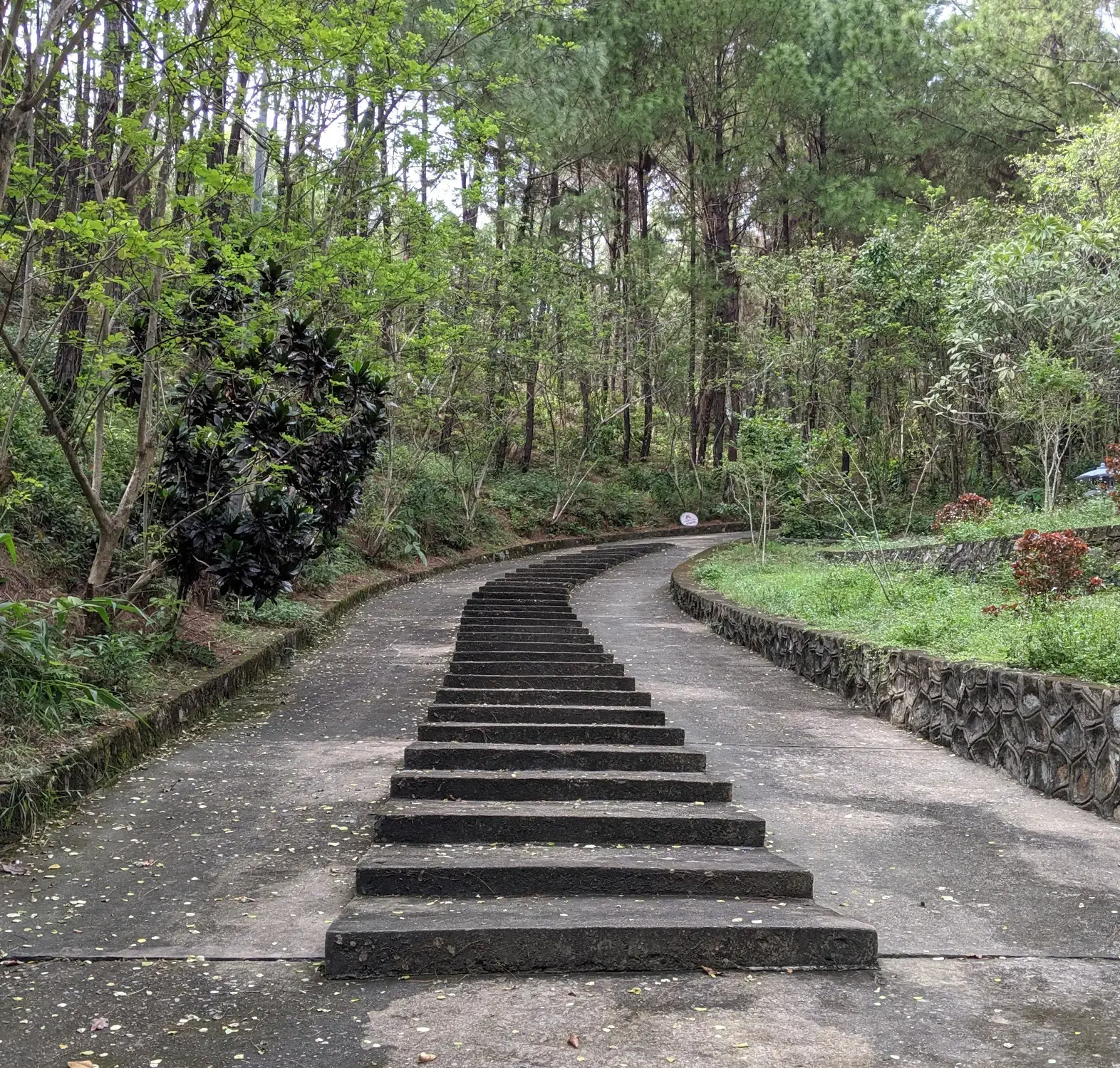 Huyen Tran Cultural Center