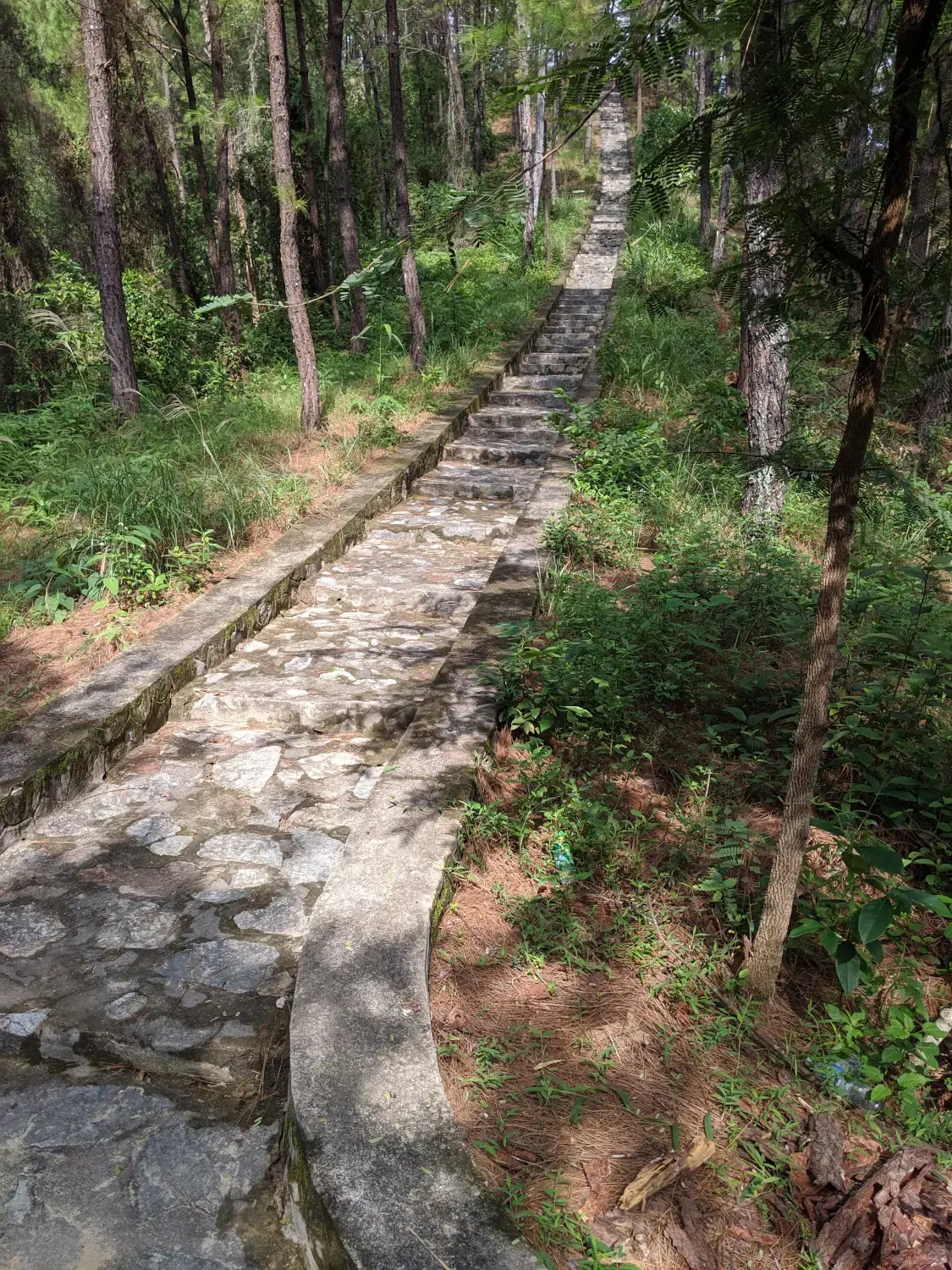Huyen Tran Cultural Center