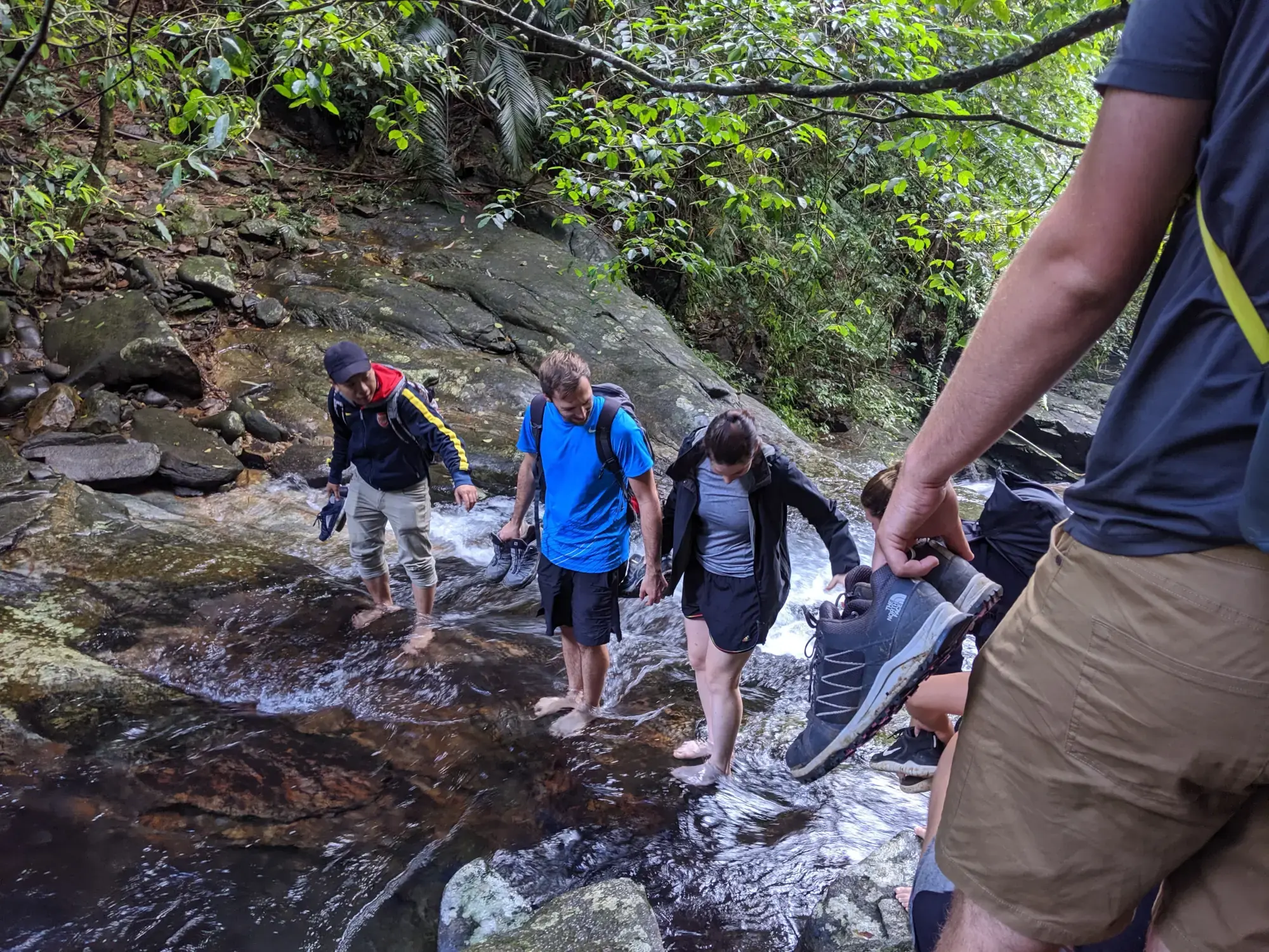 Bach Ma National Park