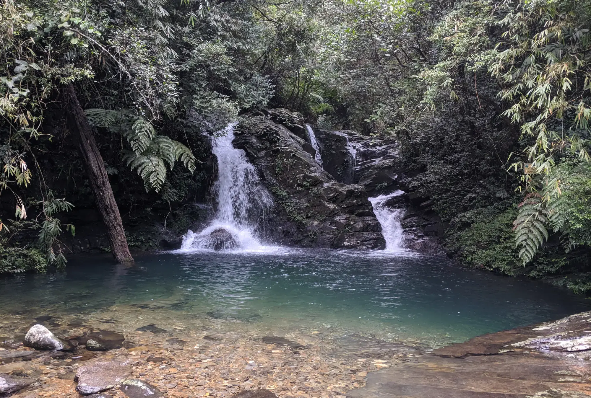 Bach Ma National Park