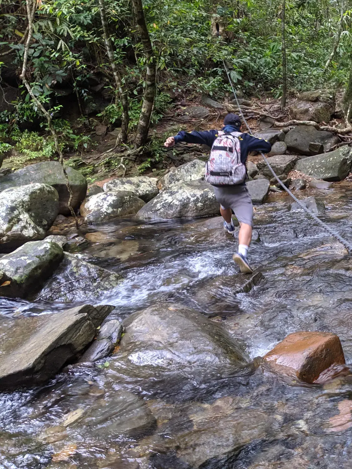 Bach Ma National Park