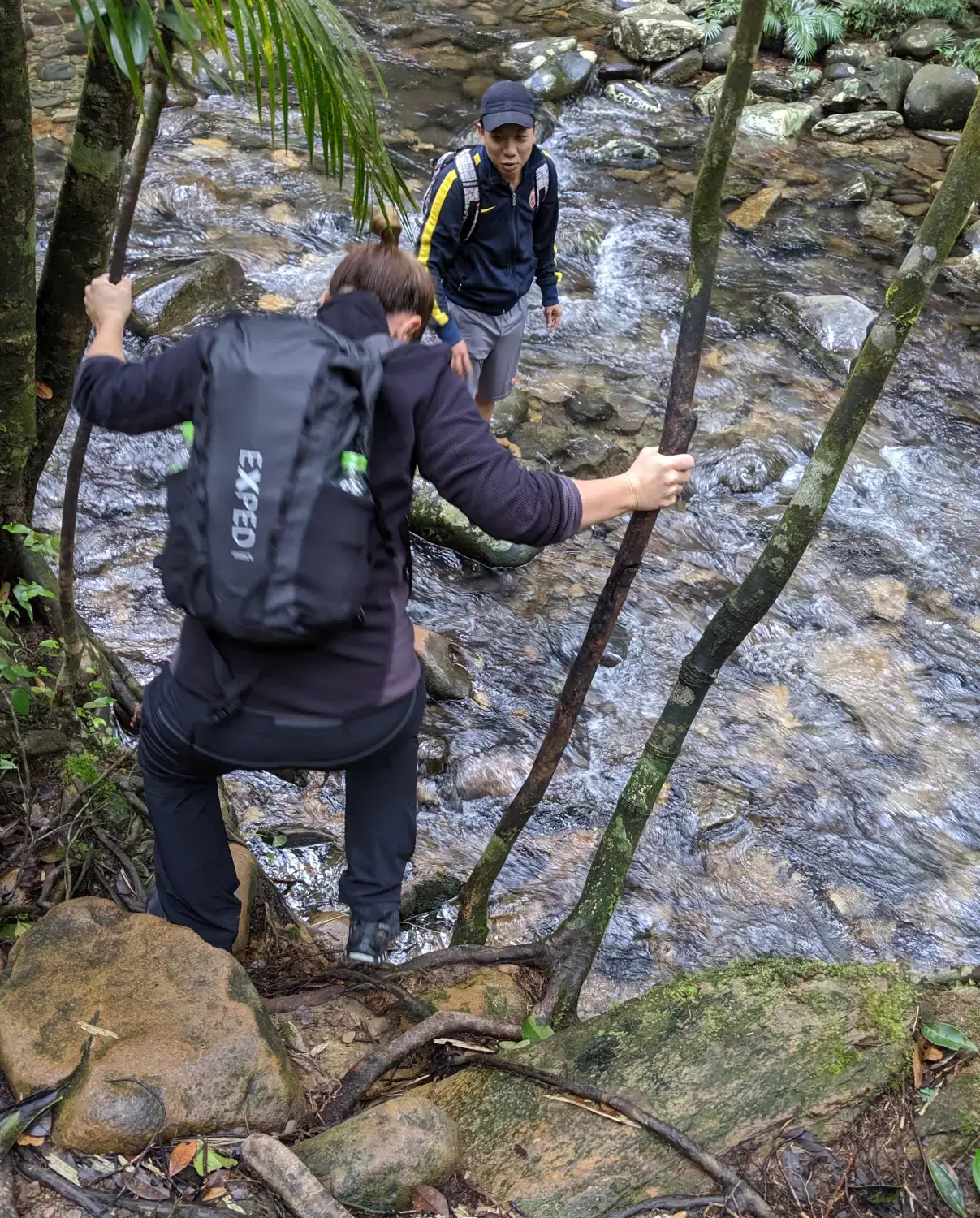 Bach Ma National Park