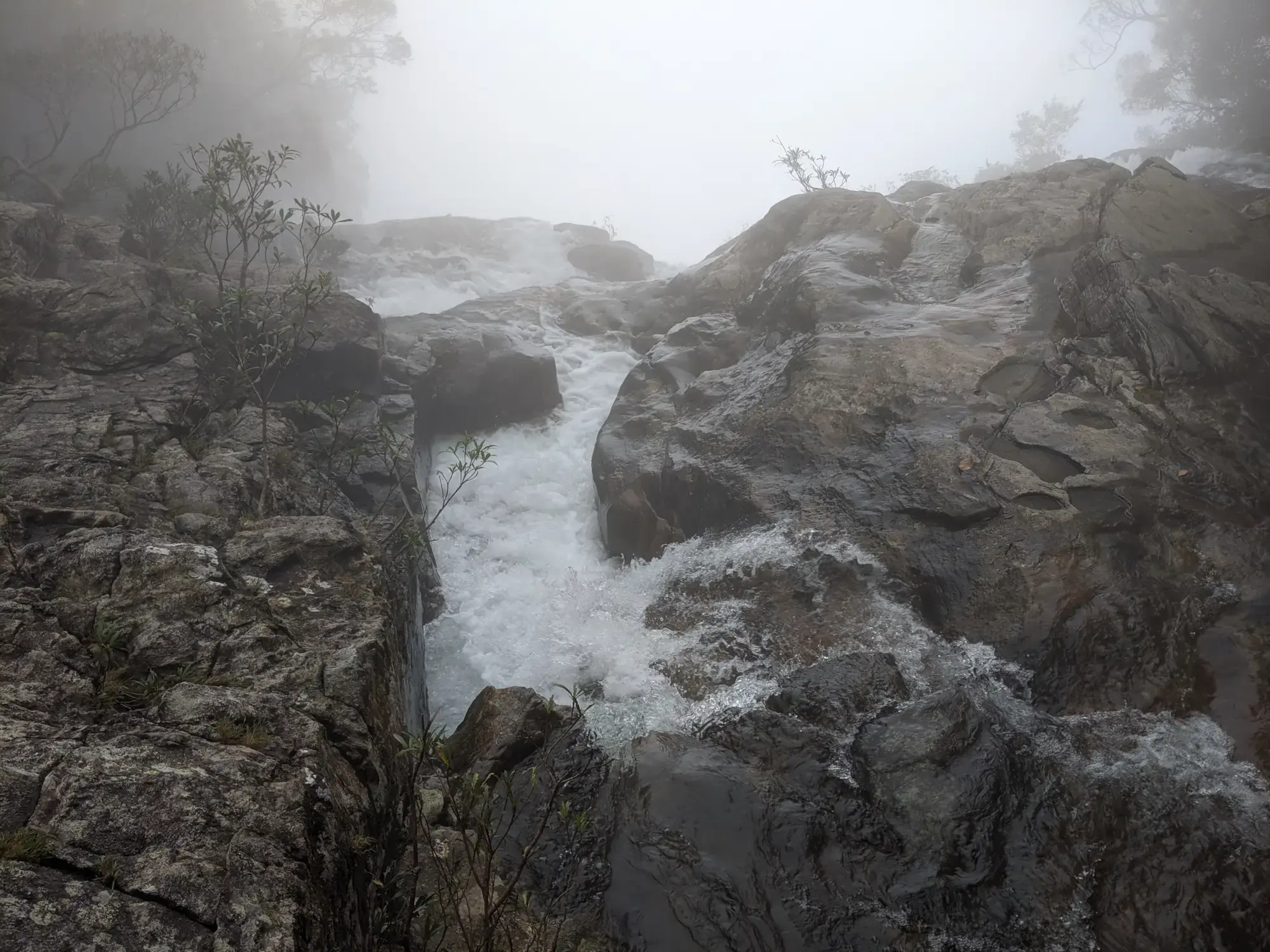 Bach Ma National Park