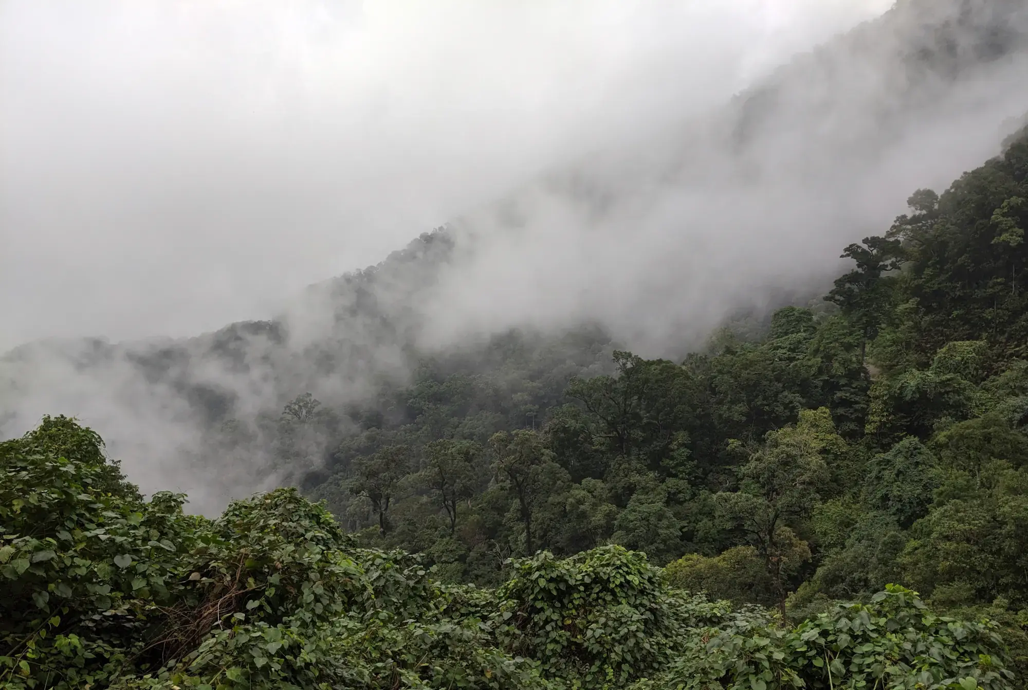 Bach Ma National Park