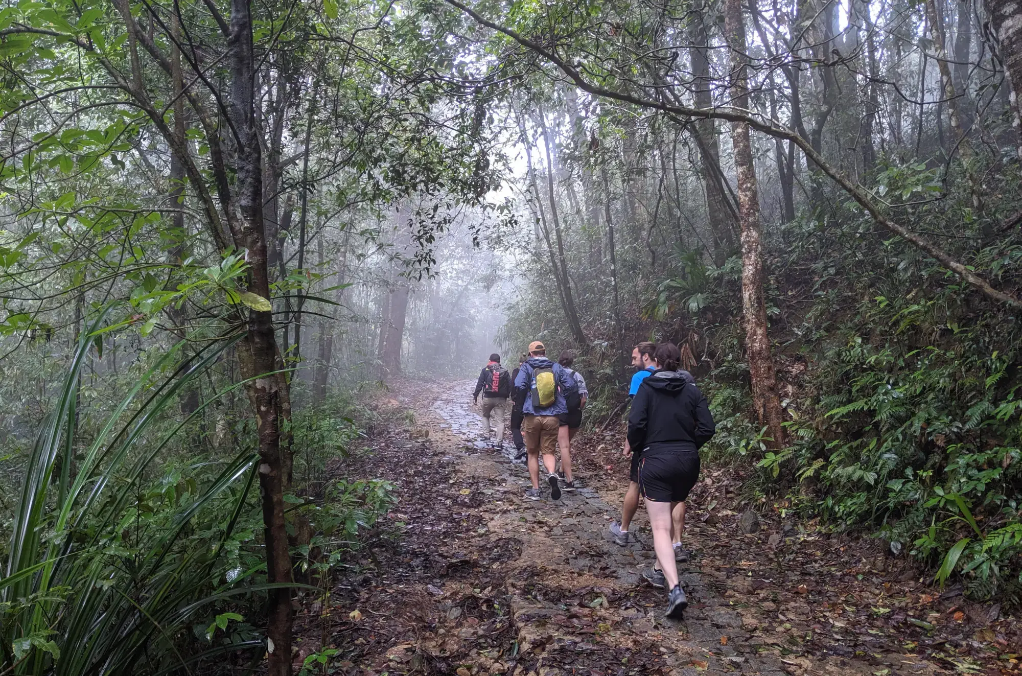 Bach Ma National Park