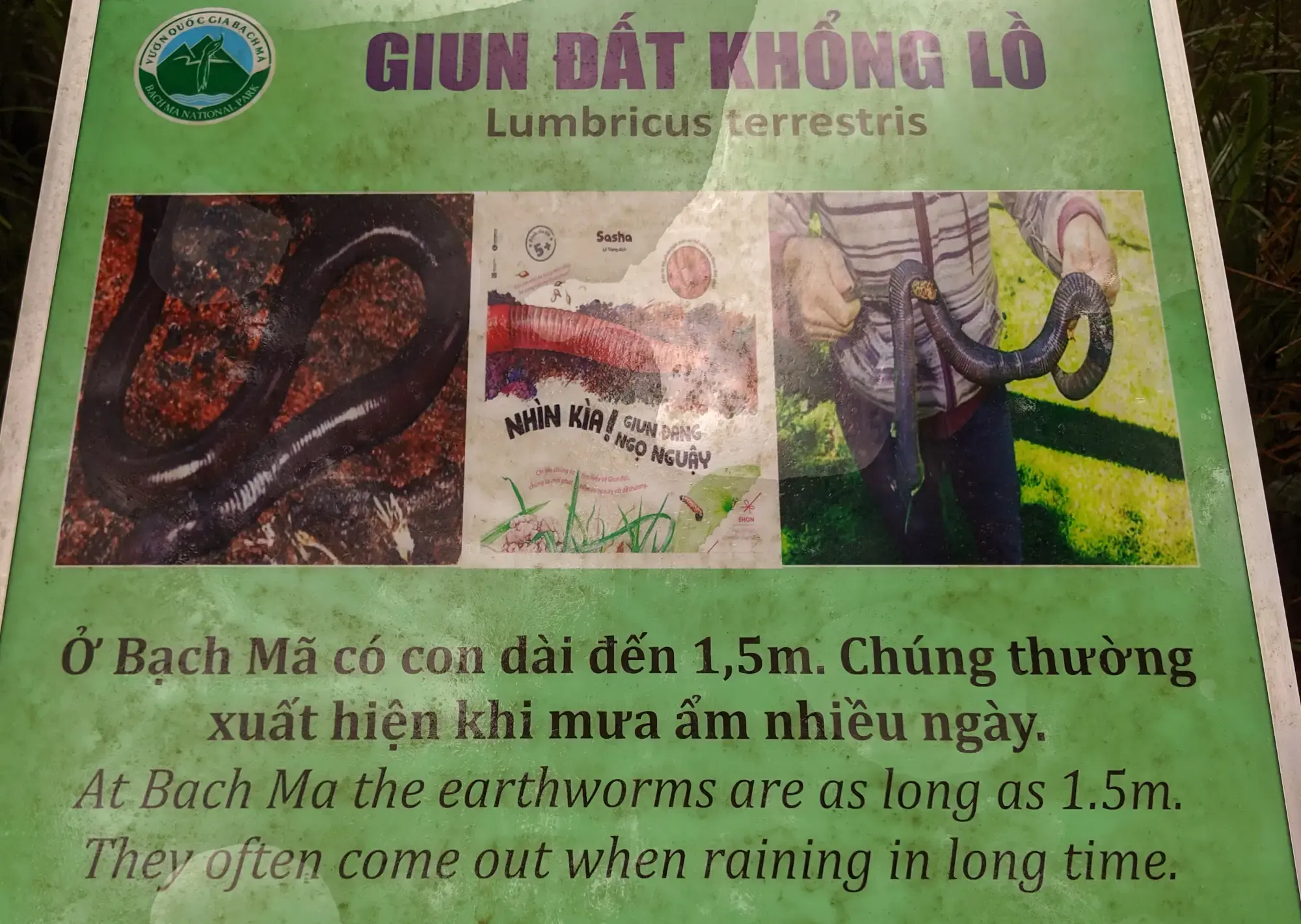 Bach Ma National Park