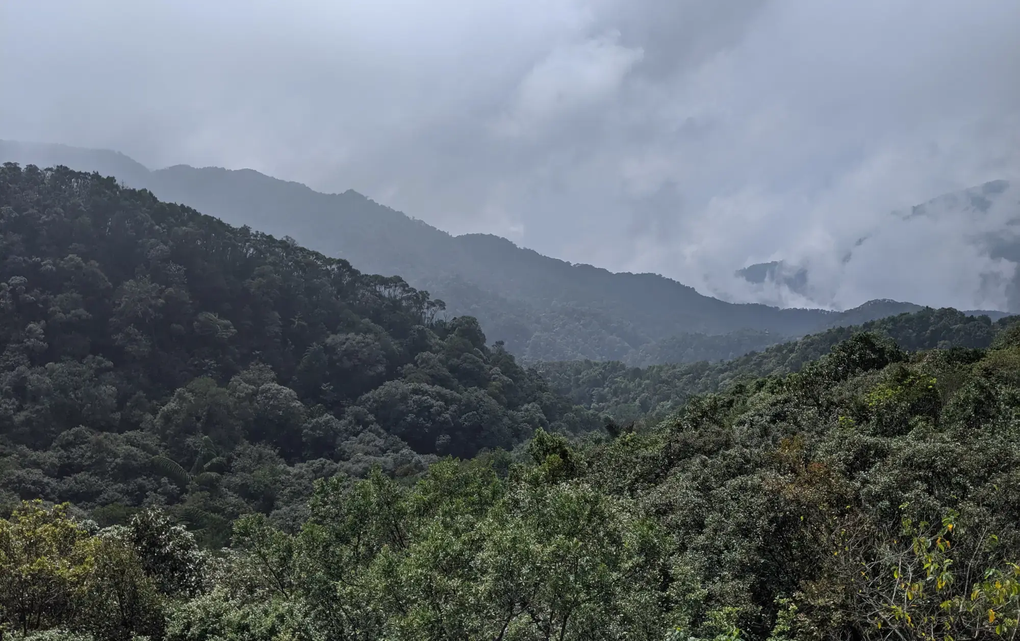 Bach Ma National Park