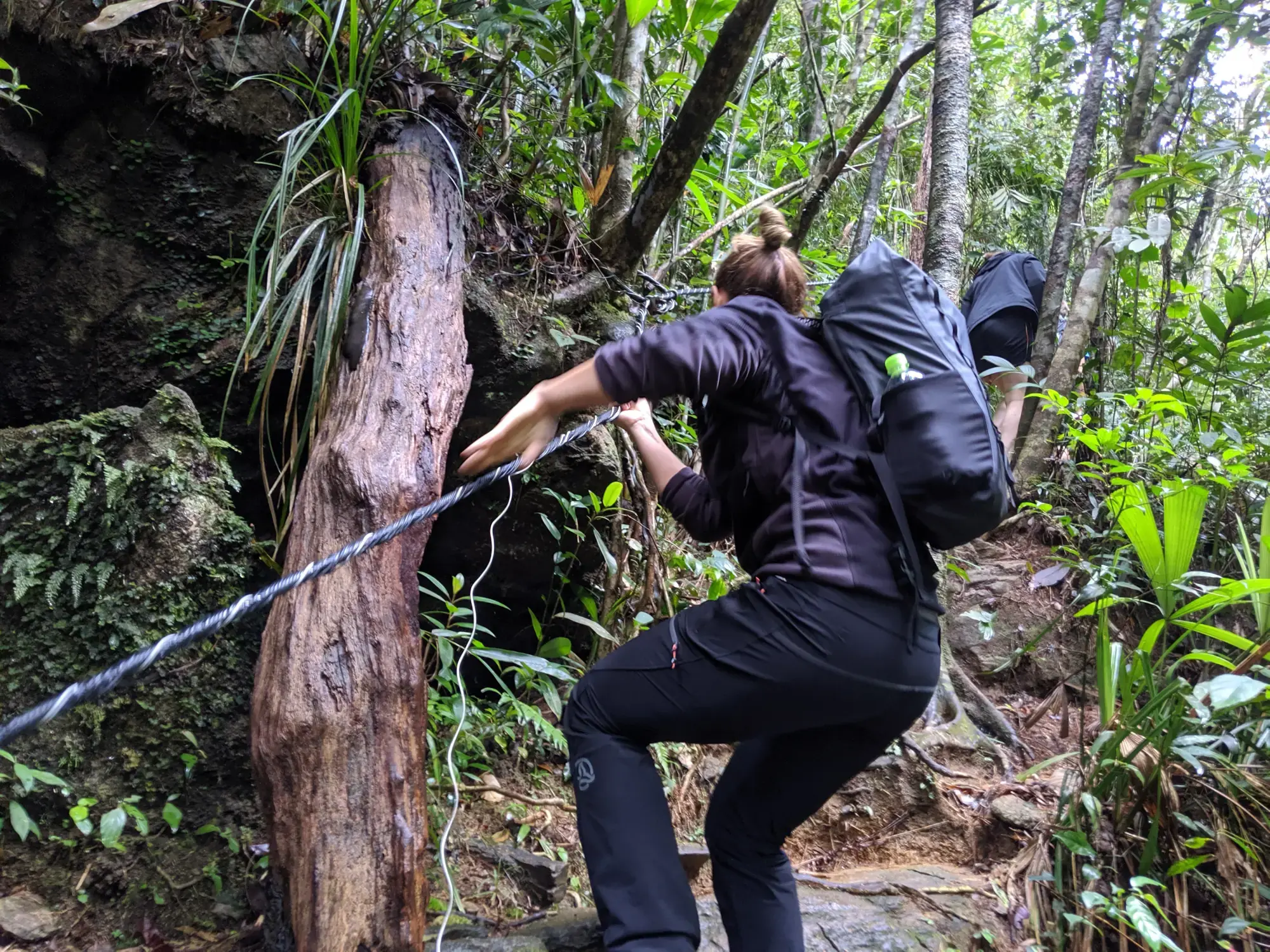 Bach Ma National Park