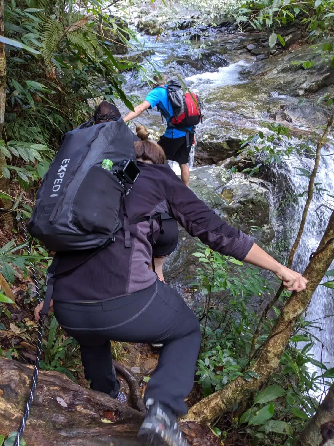 Bach Ma National Park