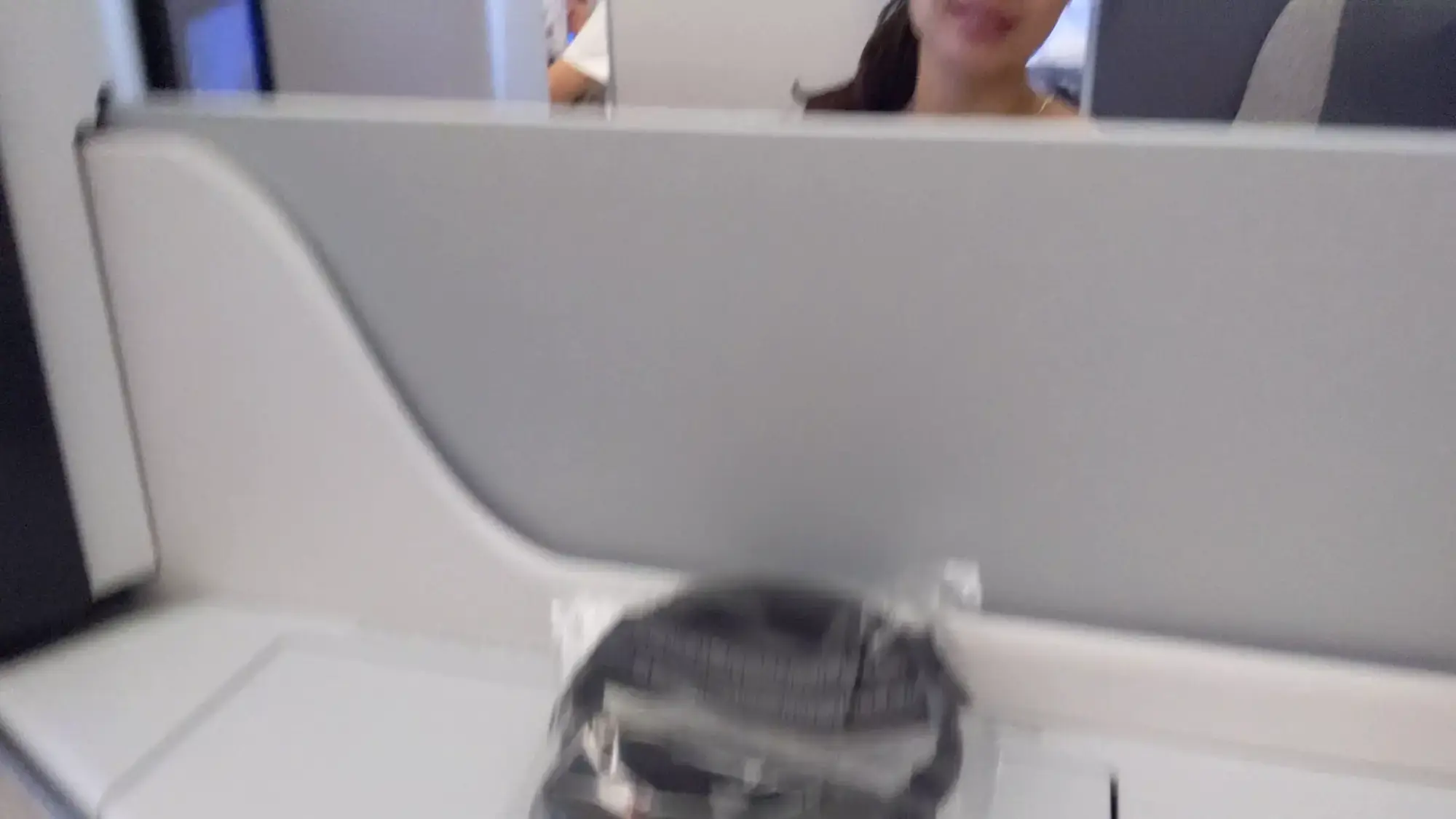 Air Canada Business Class Suite