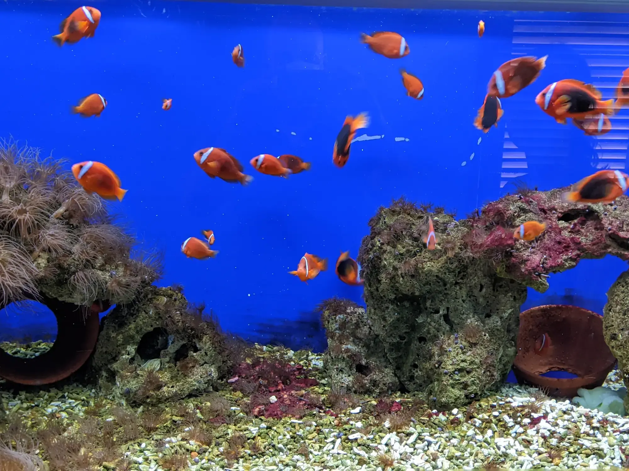 Museum of Oceanography