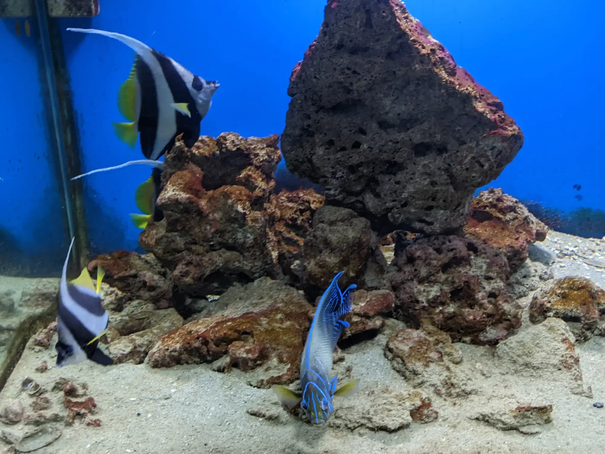 Museum of Oceanography