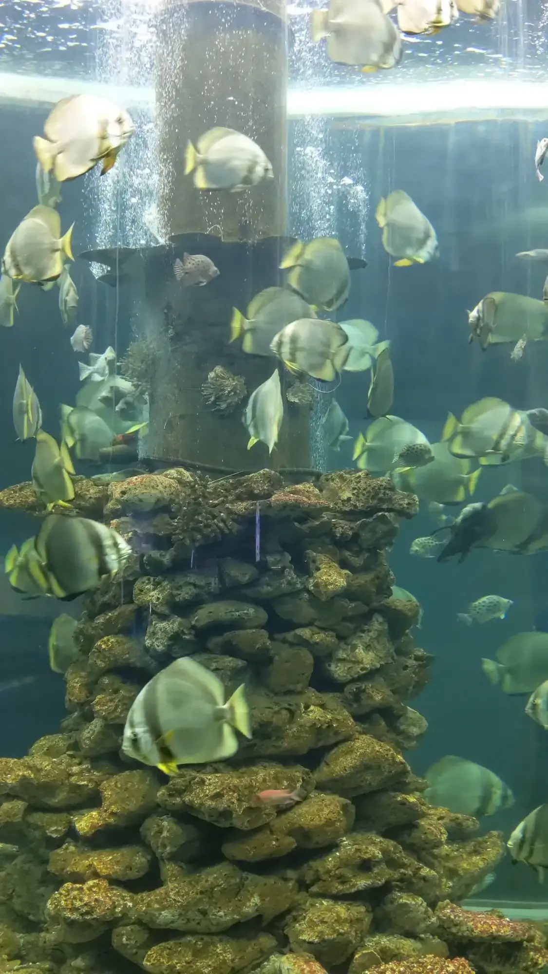 Museum of Oceanography