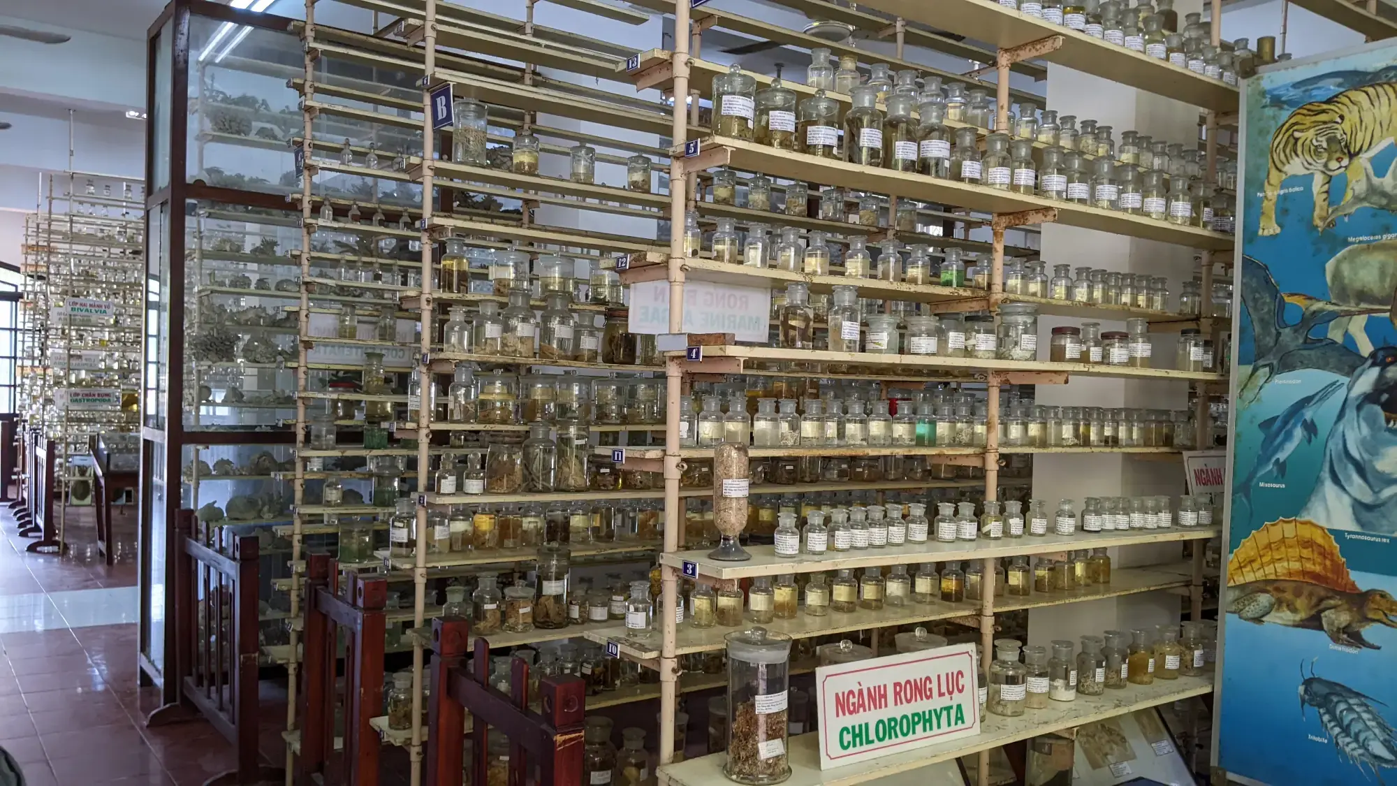 Museum of Oceanography