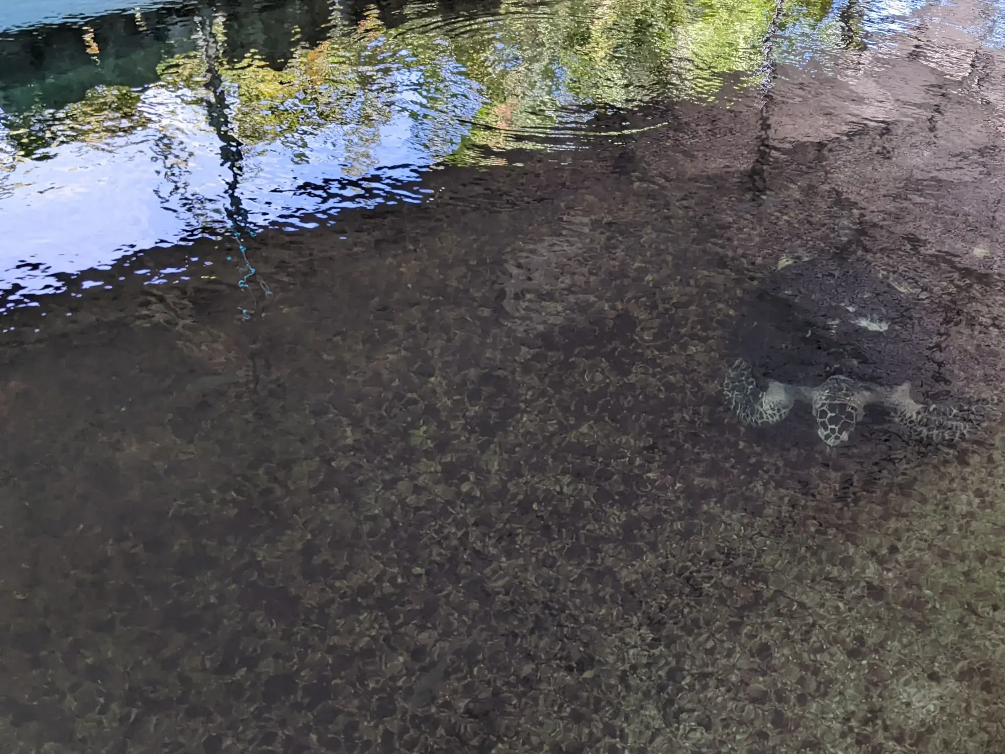 Museum of Oceanography