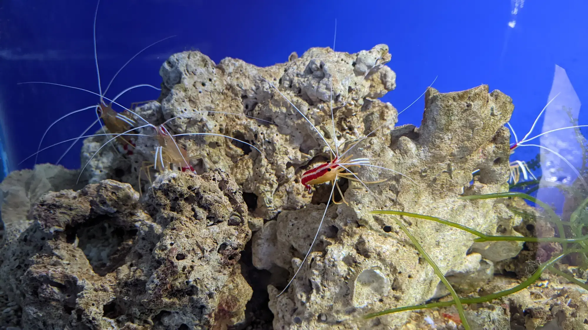 Museum of Oceanography