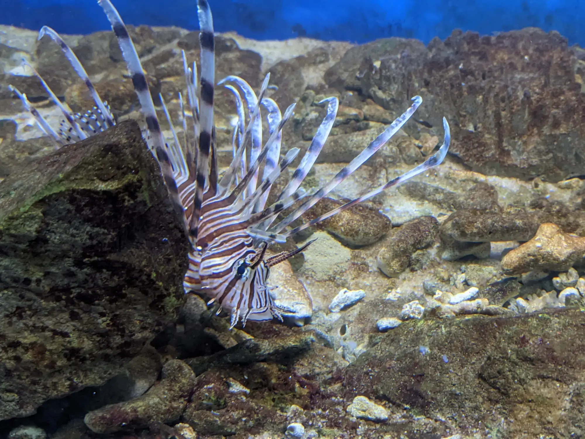 Museum of Oceanography