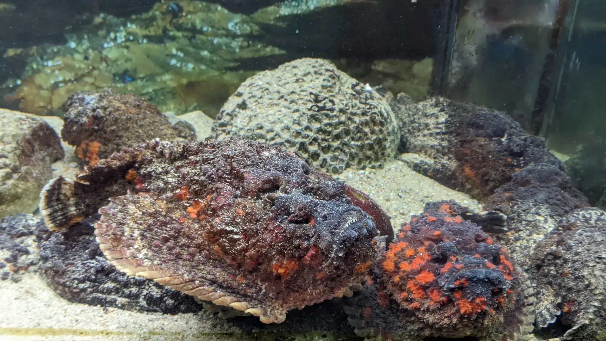 Museum of Oceanography