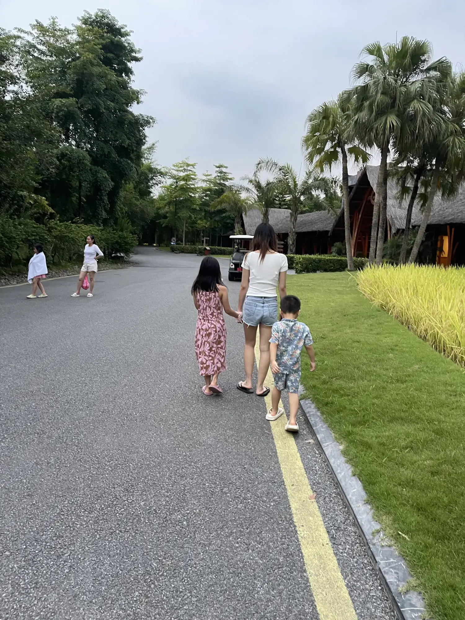 Serena Kim Boi grounds