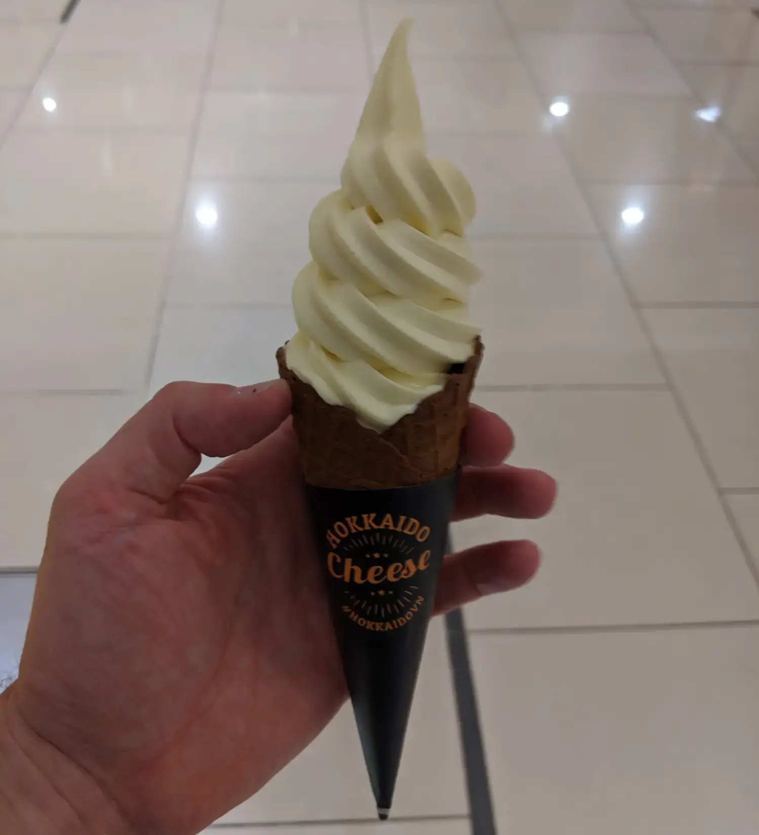 Hokkaido Baked Cheese Tart