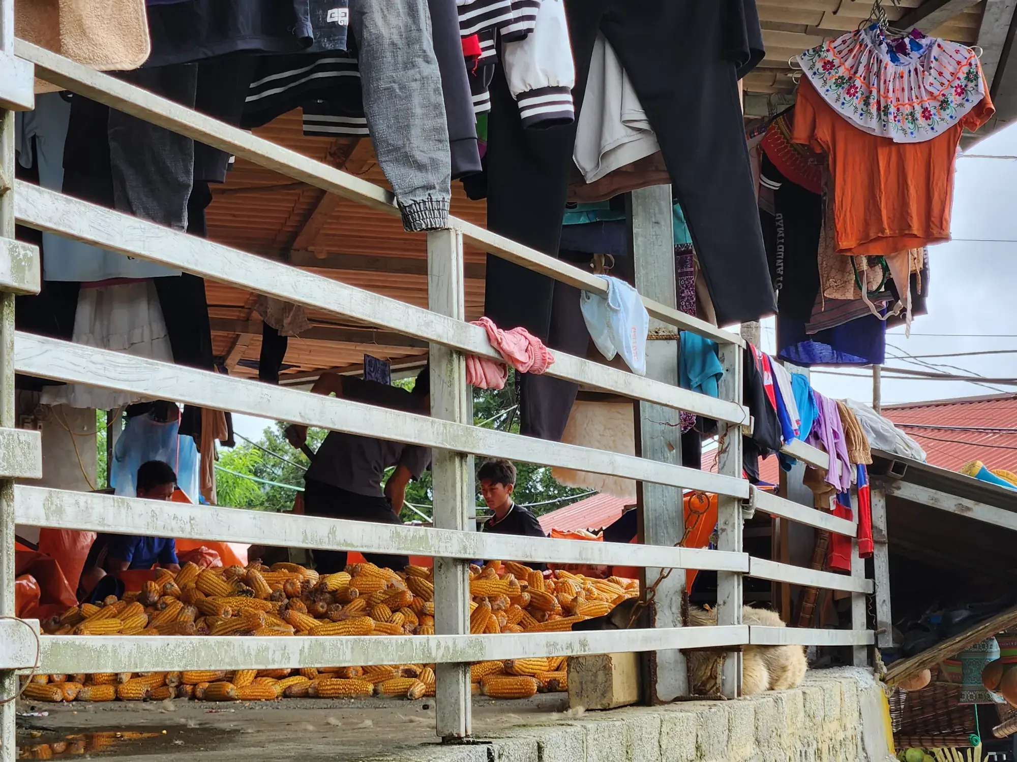 Walking through Cat Cat Village