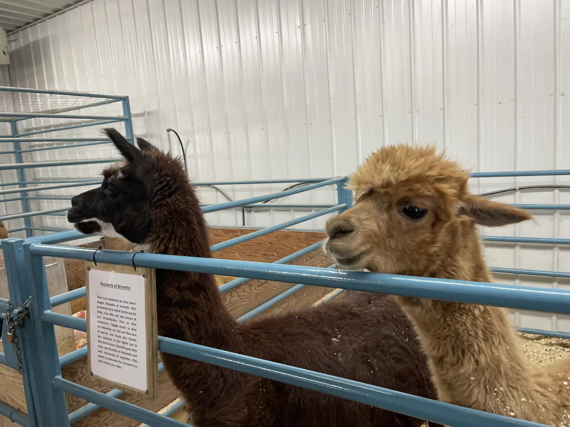 Érablière Meunier's Mini-Farm