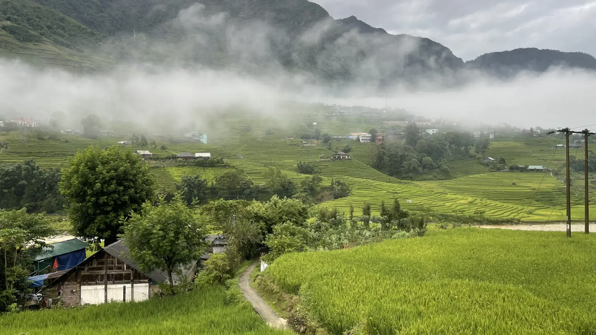 S Plus Bungalow trails