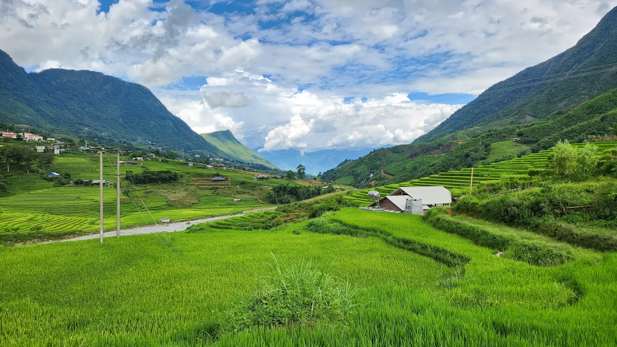 S Plus Bungalow views