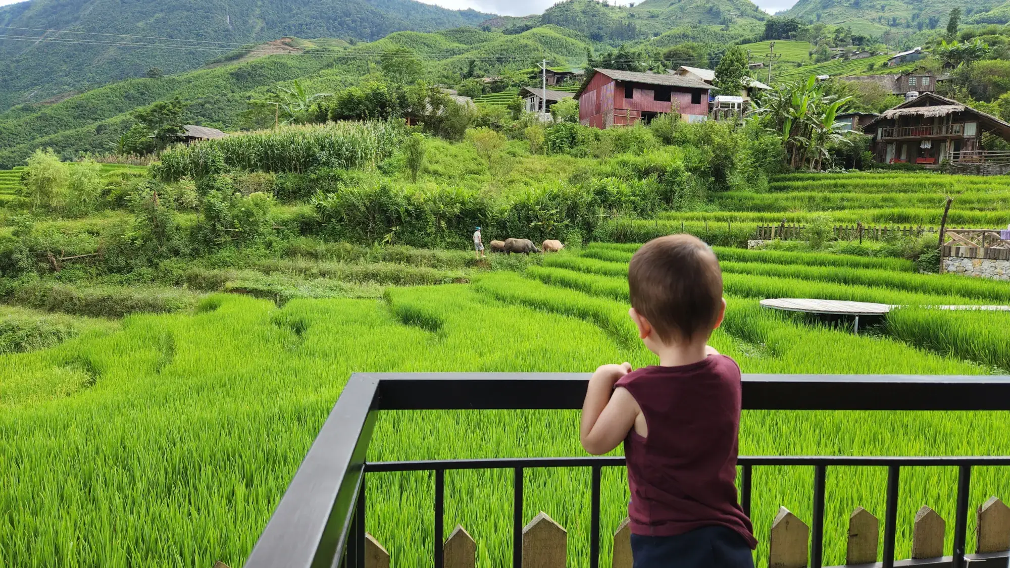 S Plus Bungalow views