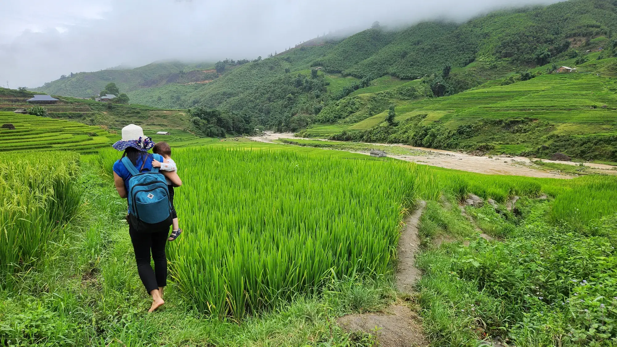Rice Terraces in Sapa