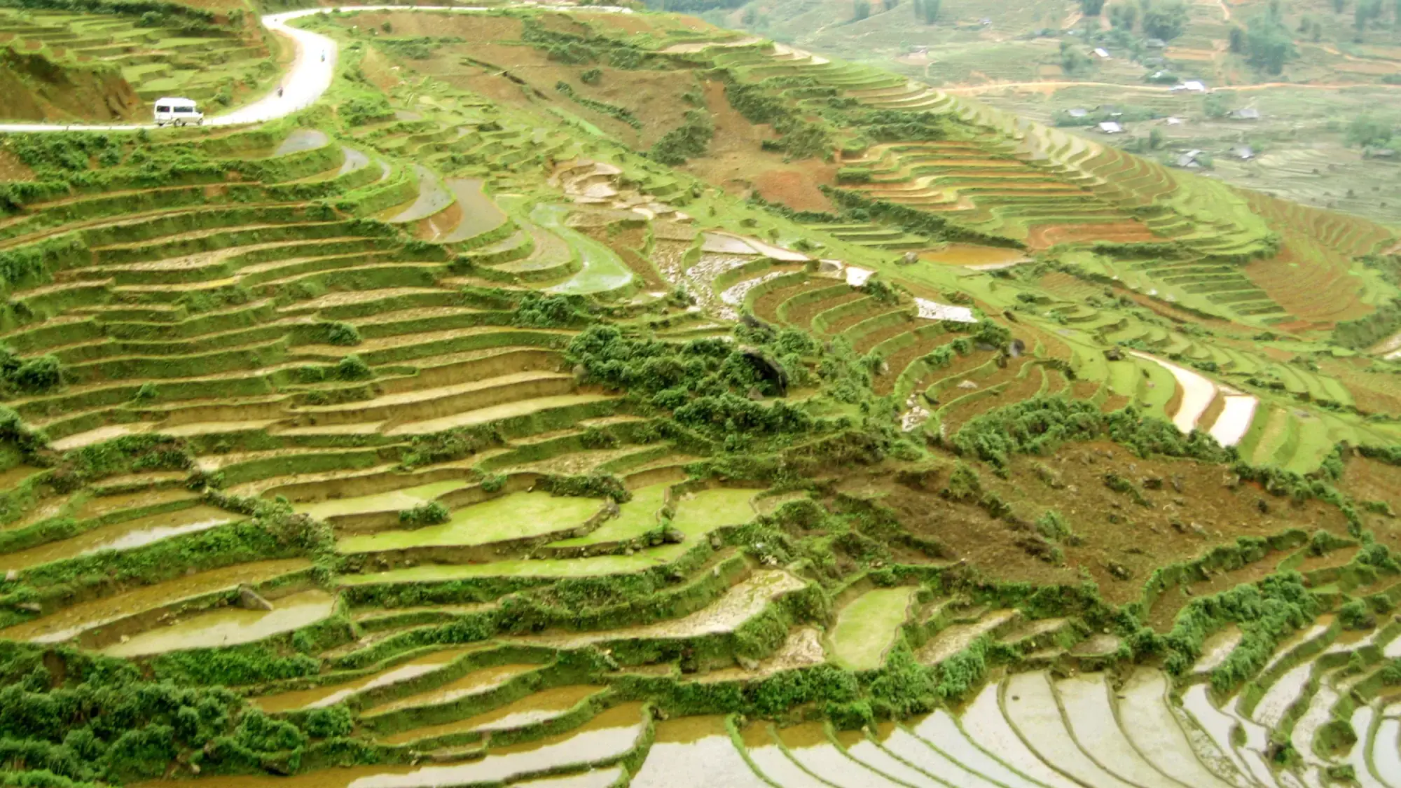 Rice Terraces in Spring