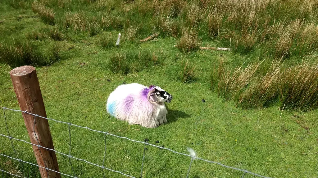Gap of Dunloe Gap of Dunloe