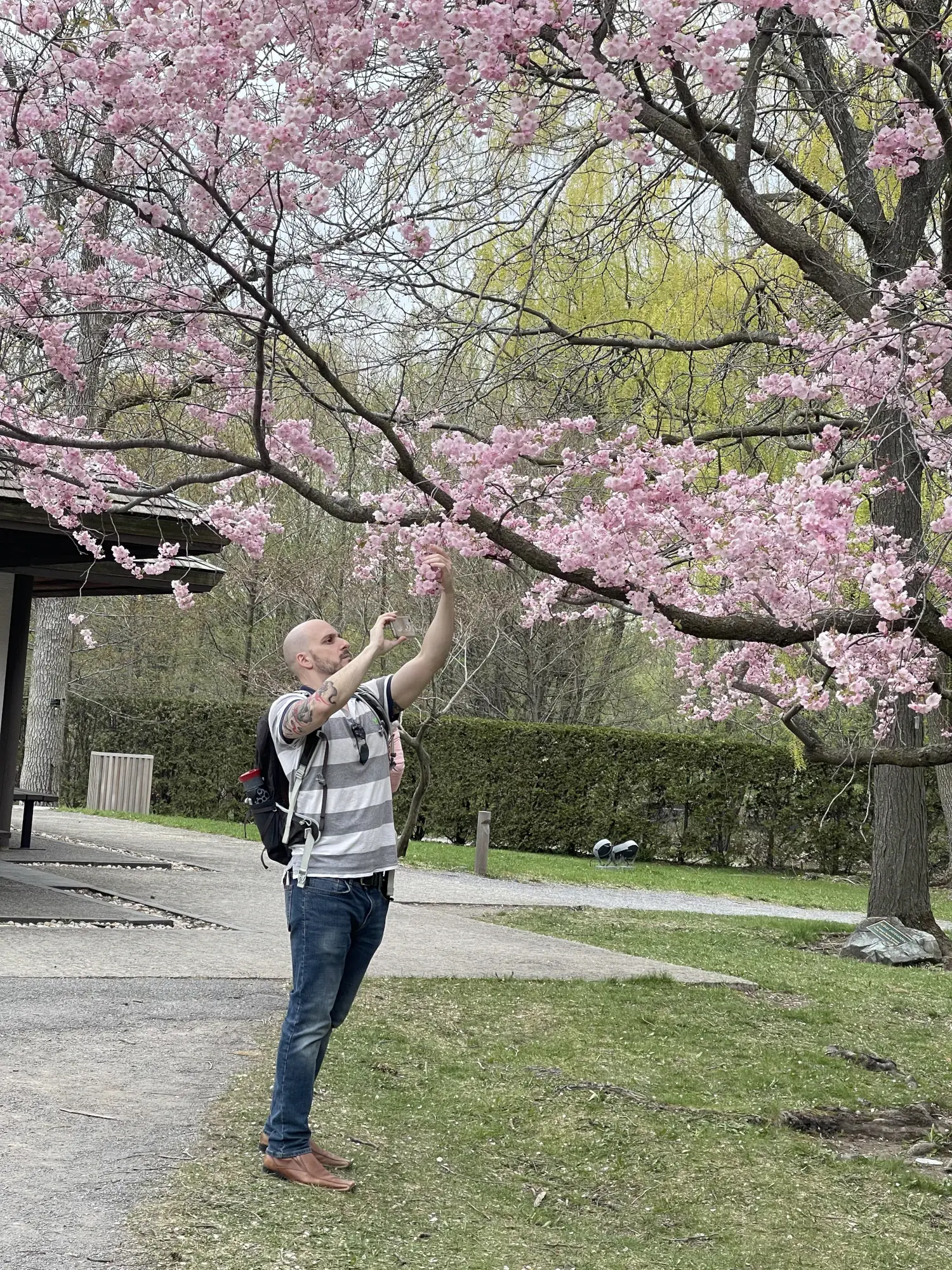 Montreal Botanical Gardens Japanese Gardens Montreal Botanical Gardens Japanese Gardens