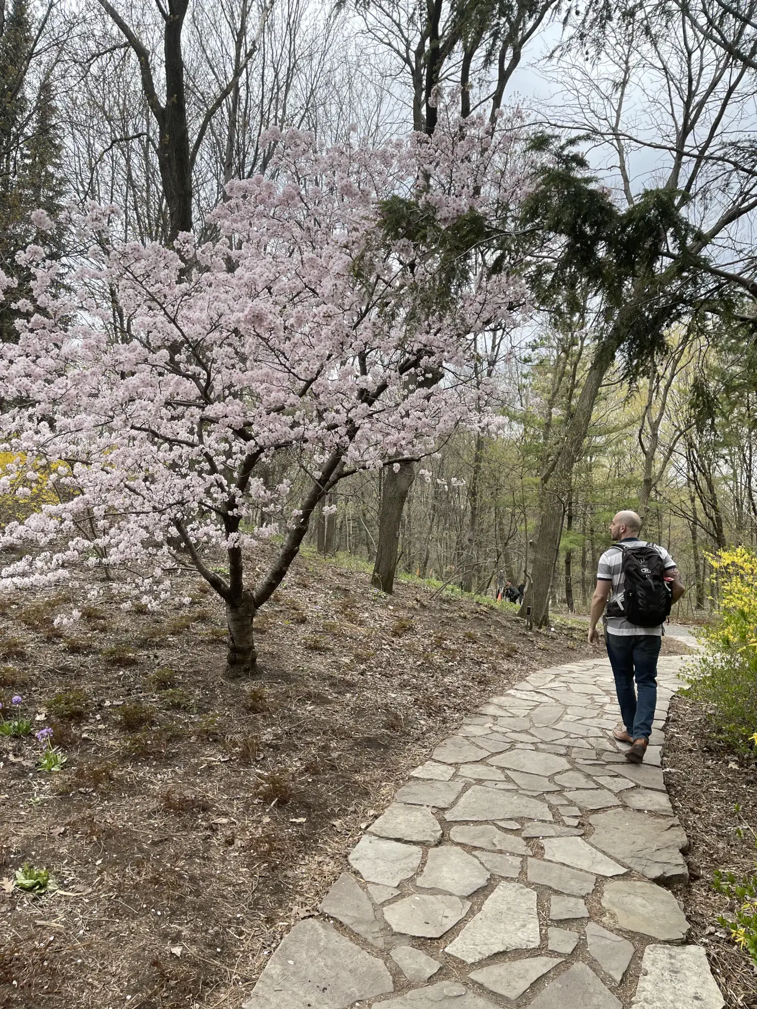 Montreal Botanical Gardens Japanese Gardens Montreal Botanical Gardens Japanese Gardens