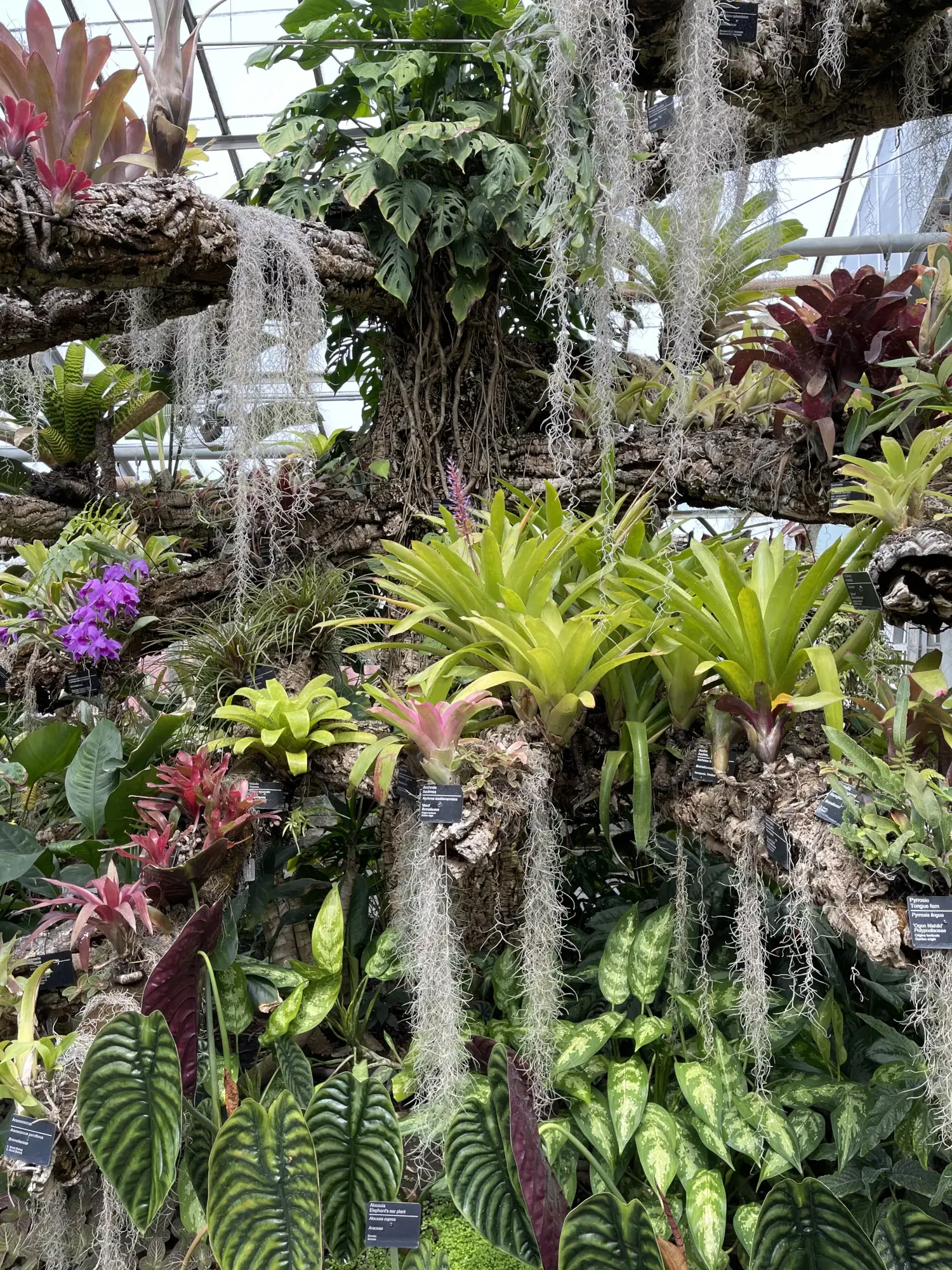 Montreal Botanical Gardens Greenhouse Montreal Botanical Gardens Greenhouse
