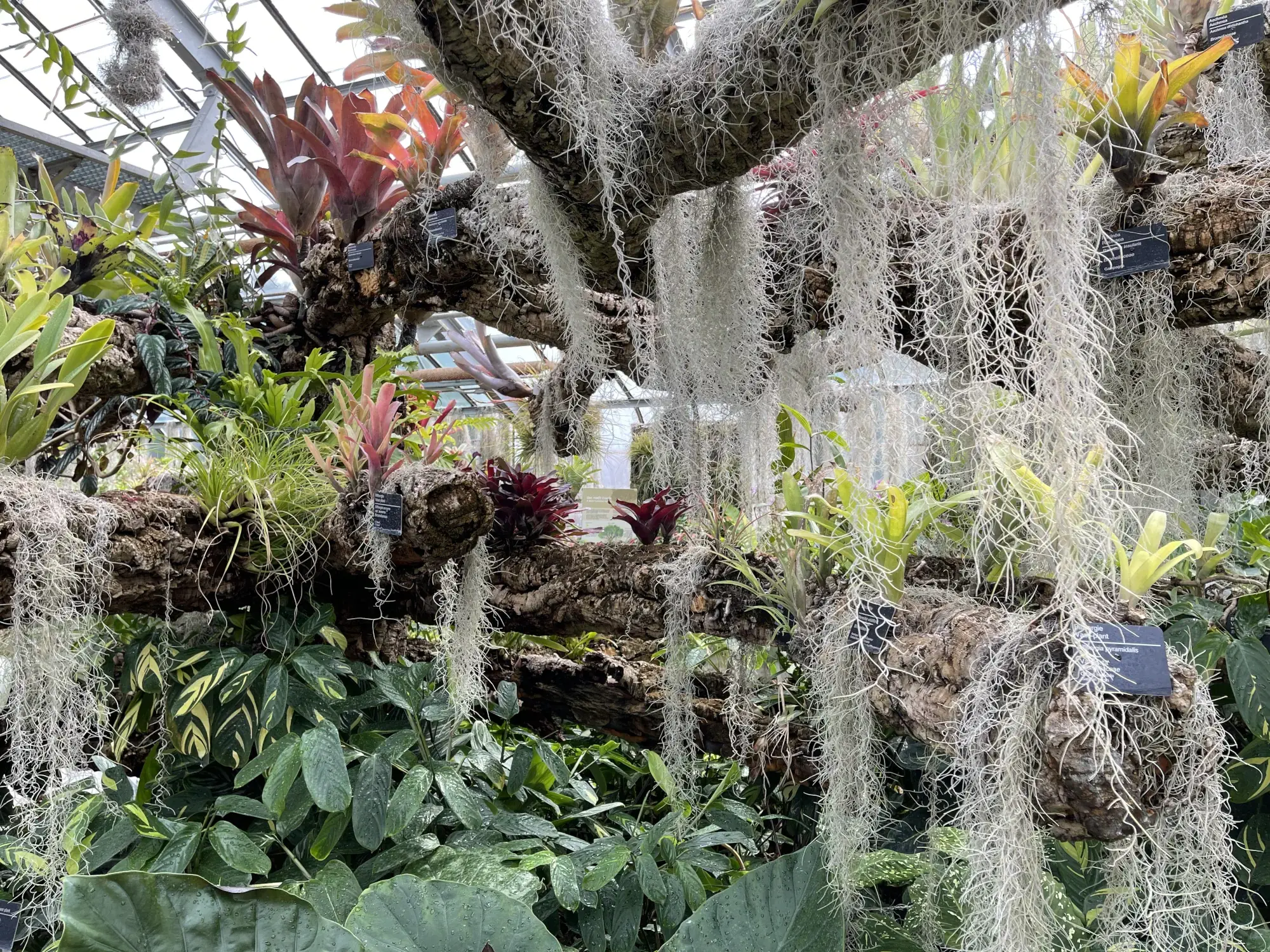 Montreal Botanical Gardens Greenhouse Montreal Botanical Gardens Greenhouse