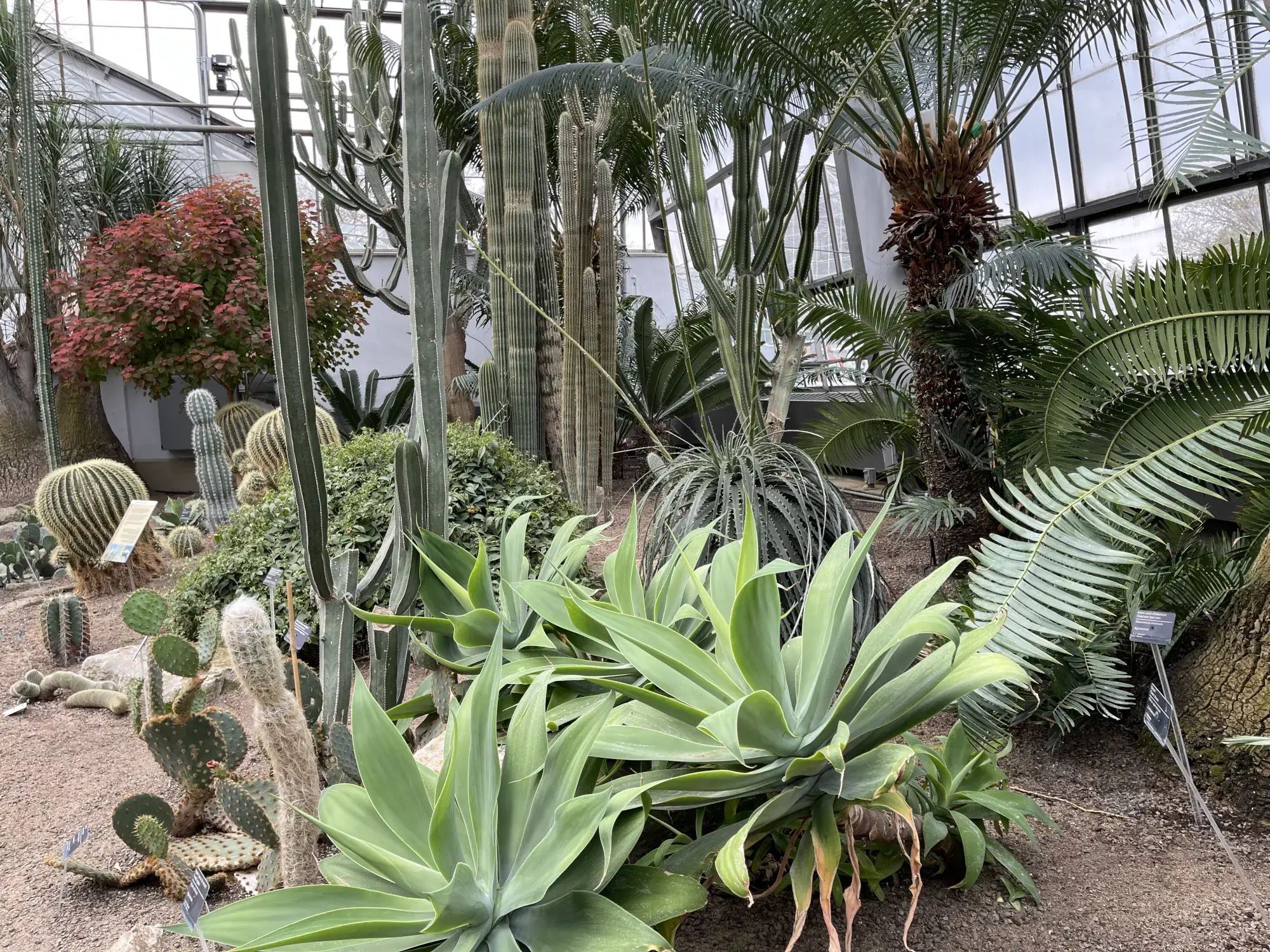 Montreal Botanical Gardens Greenhouse Montreal Botanical Gardens Greenhouse