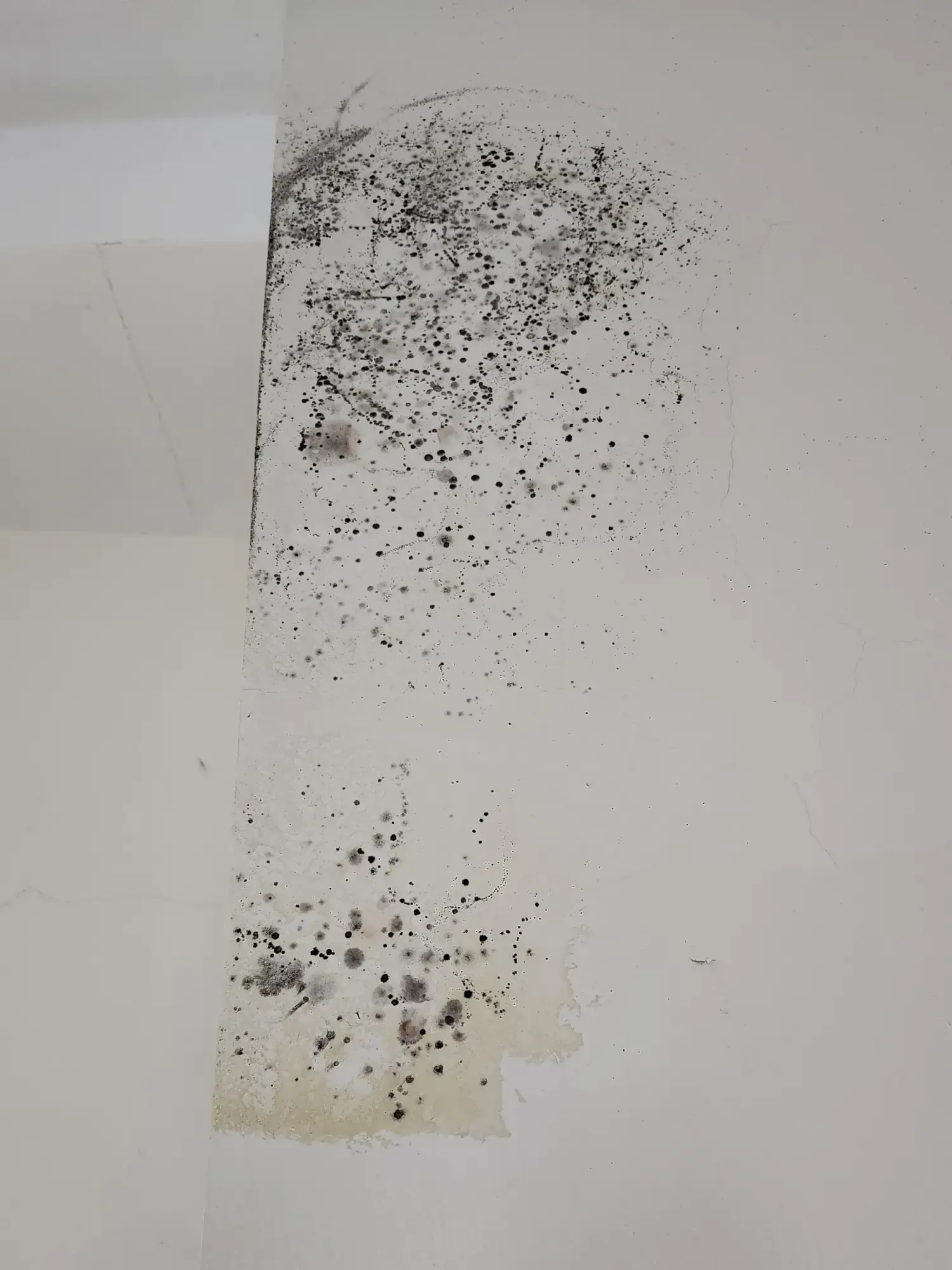 The hotel room The hotel room