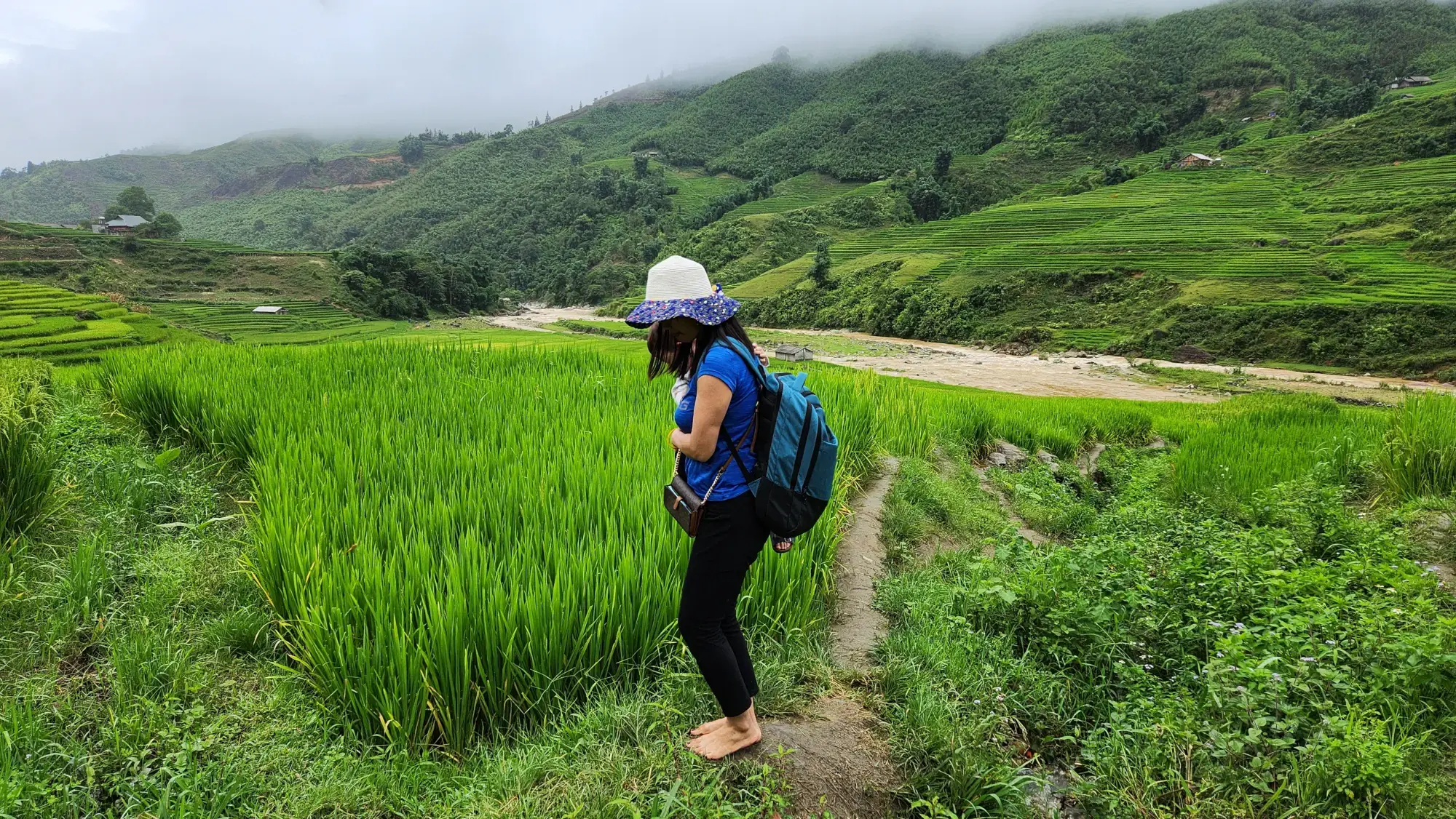 Rice Terraces Rice Terraces