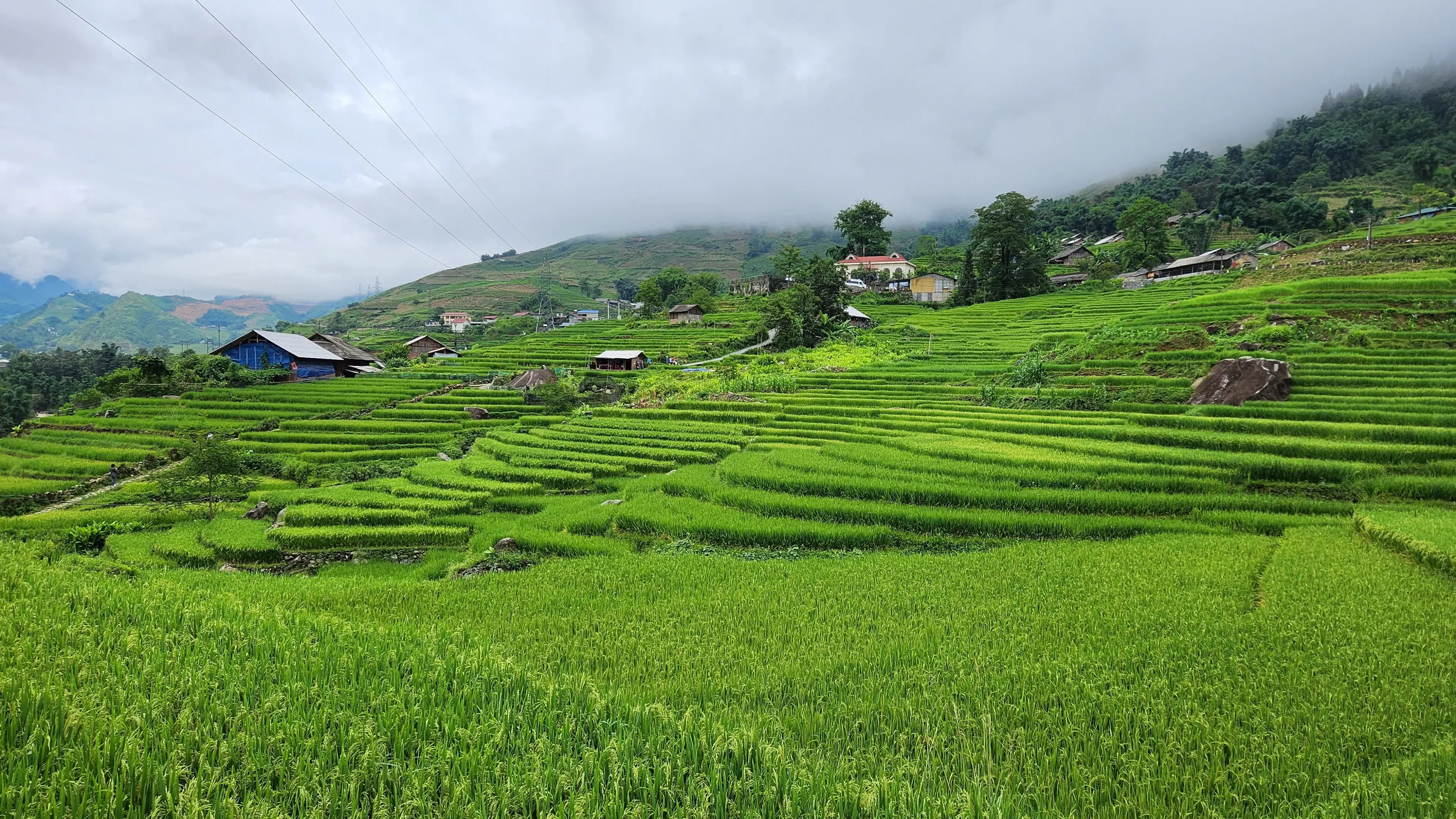 Rice Terraces Rice Terraces