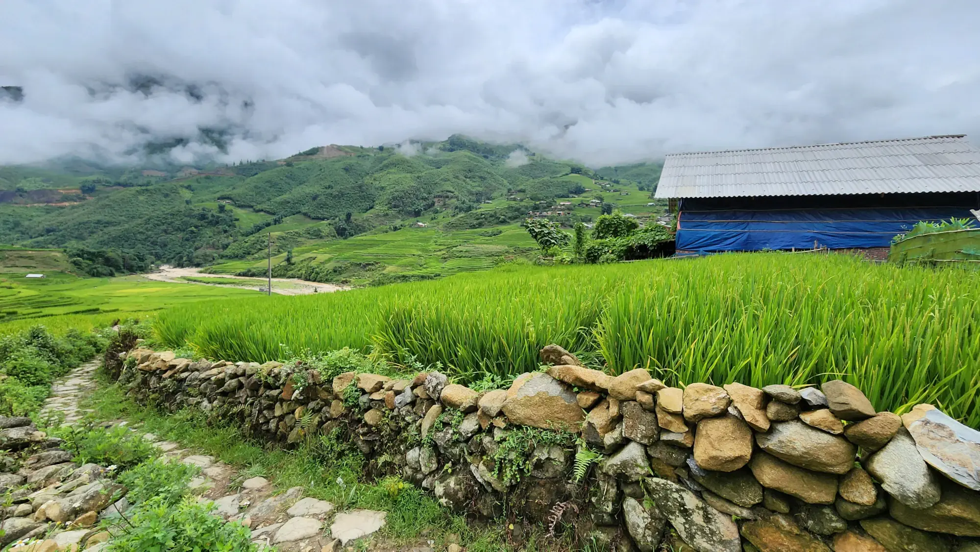 The Start of Our Hike The Start of Our Hike