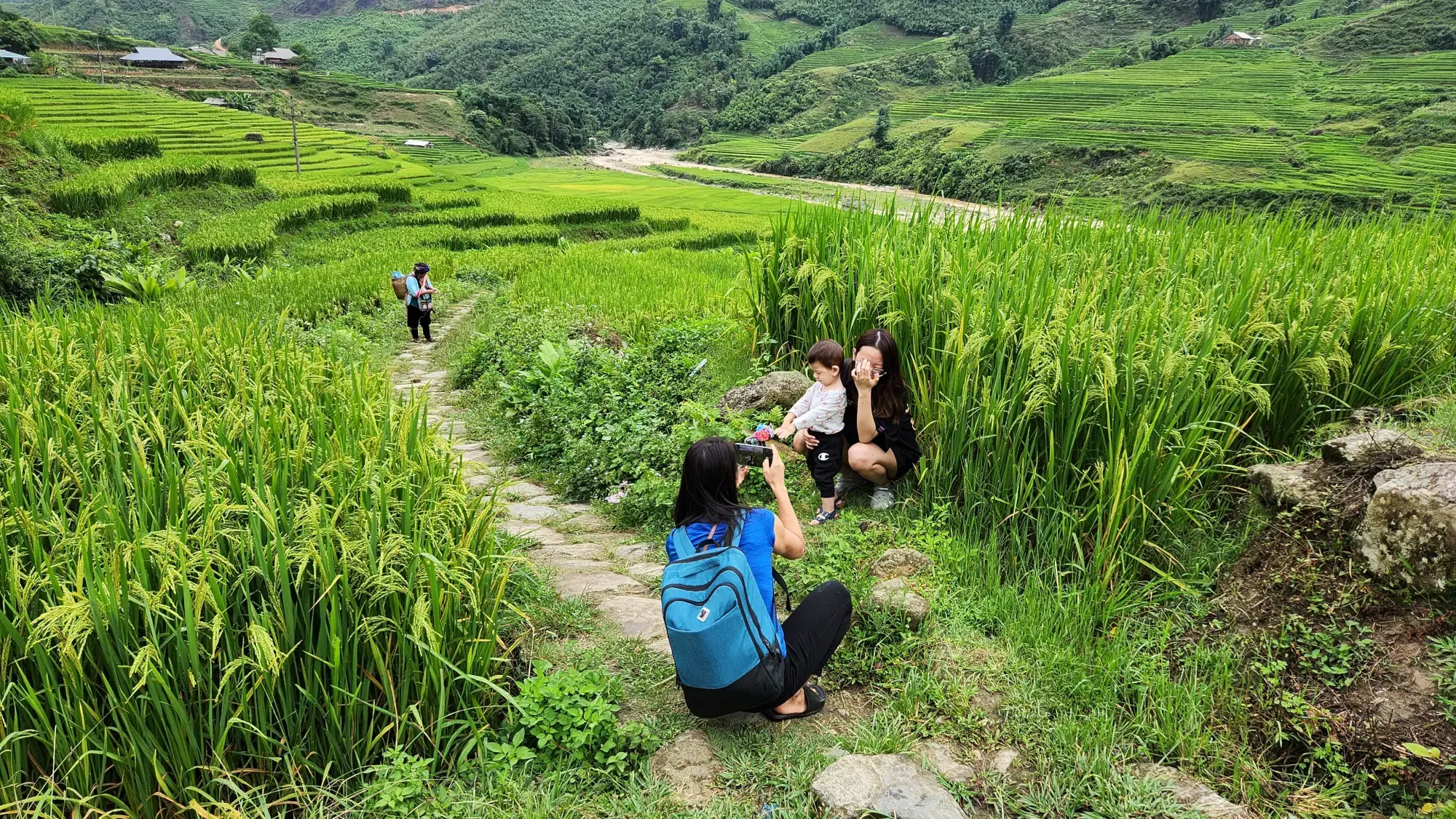Rice Terraces Rice Terraces