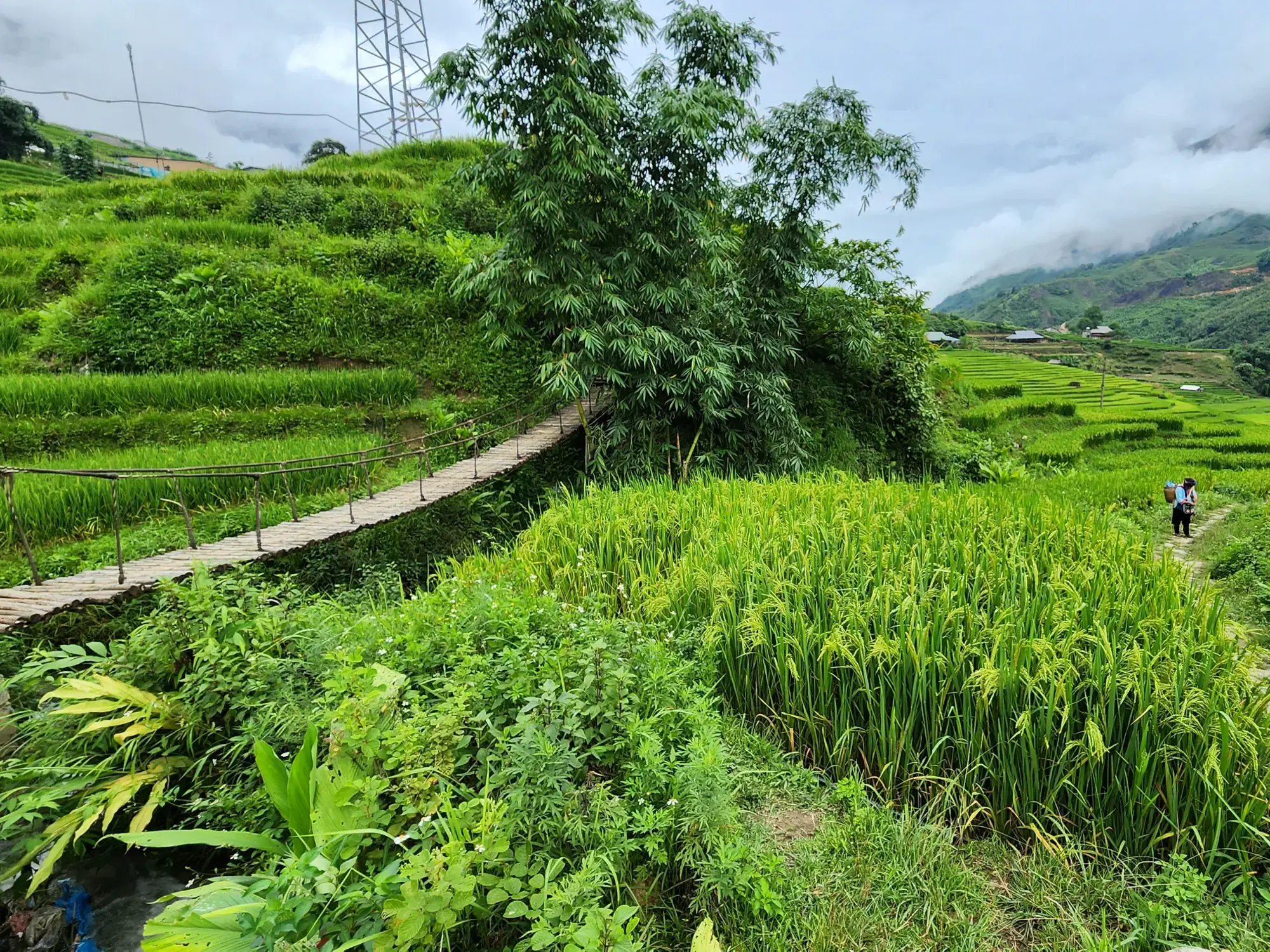 Suspension Bridge Suspension Bridge