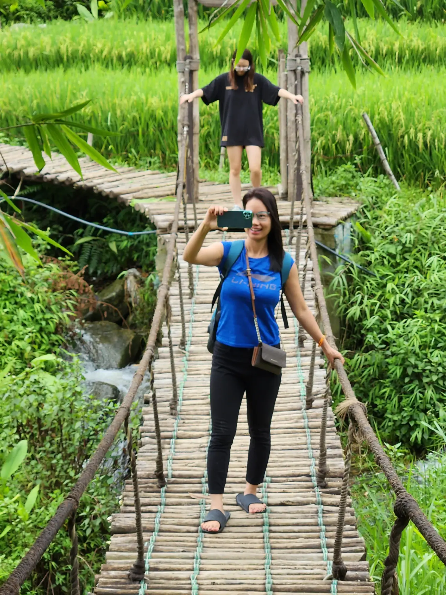 Suspension Bridge Suspension Bridge