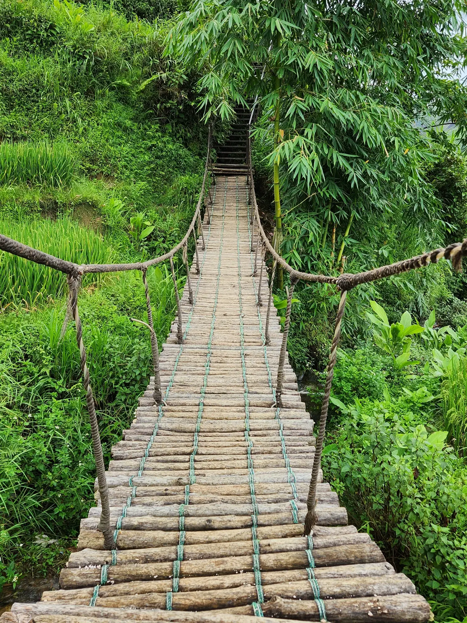 Suspension Bridge Suspension Bridge