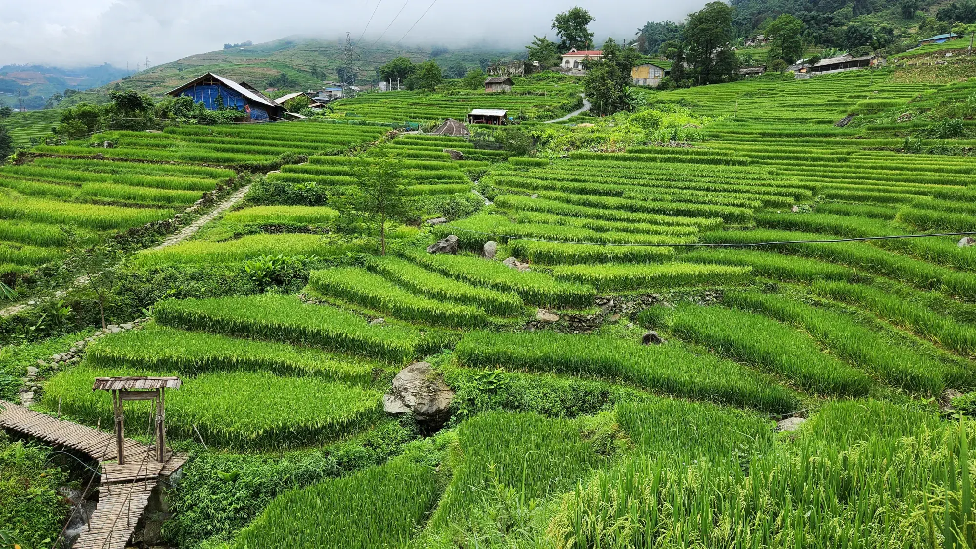 Suspension Bridge Suspension Bridge