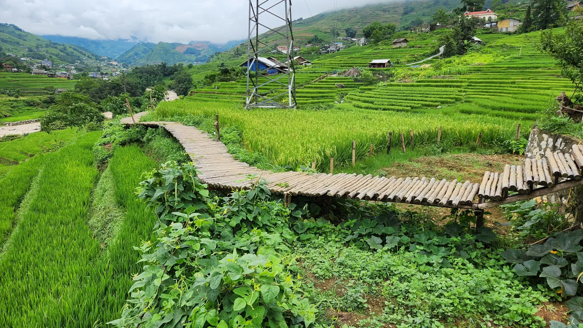 Suspension Bridge Suspension Bridge