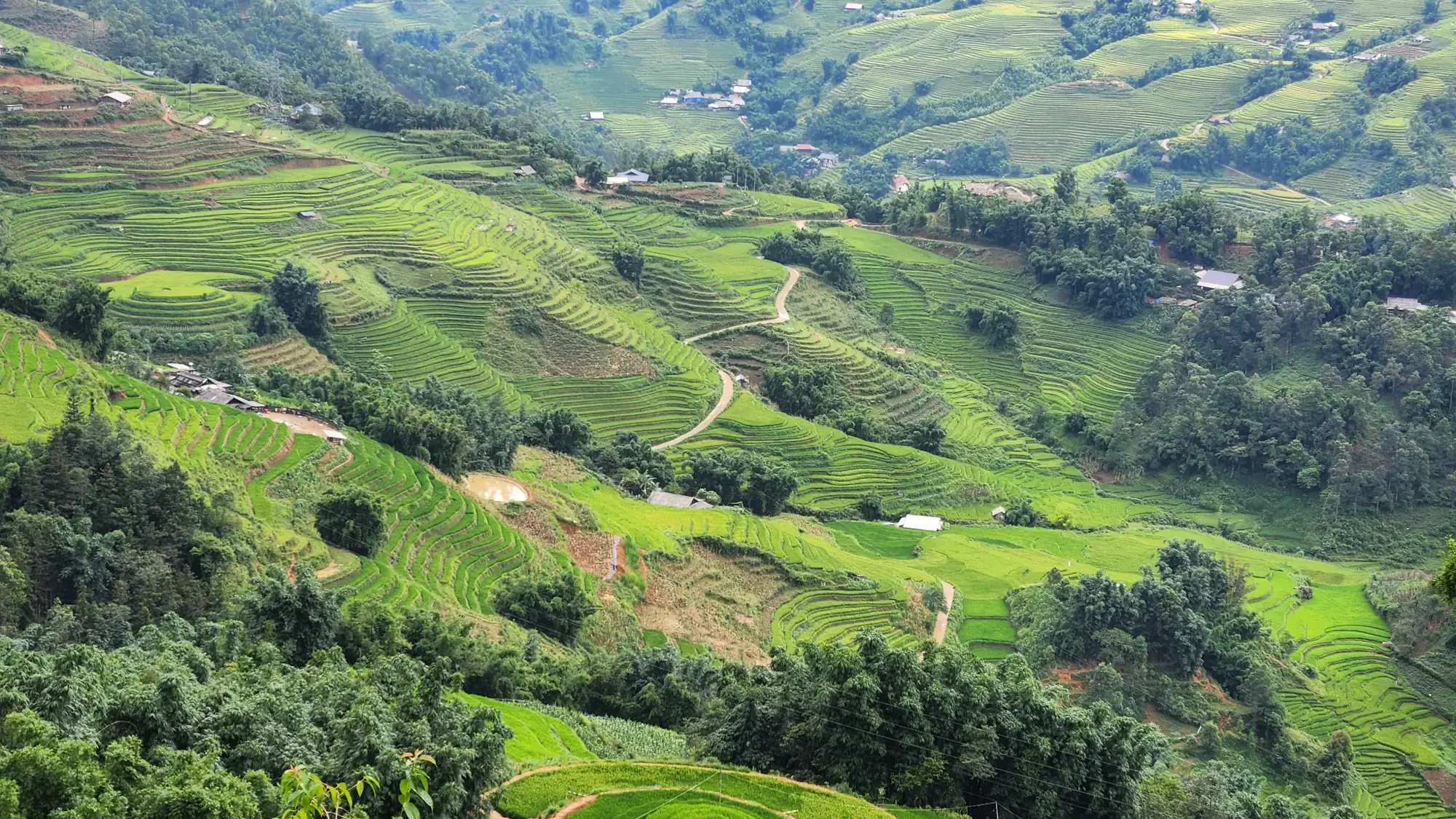 Restaurant views Restaurant views